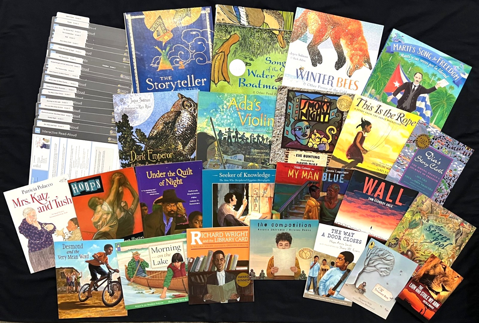 5th Grade – FOUNTAS & PINNELL – Interactive Read-Aloud (23 books) (Sets 1 – 8)