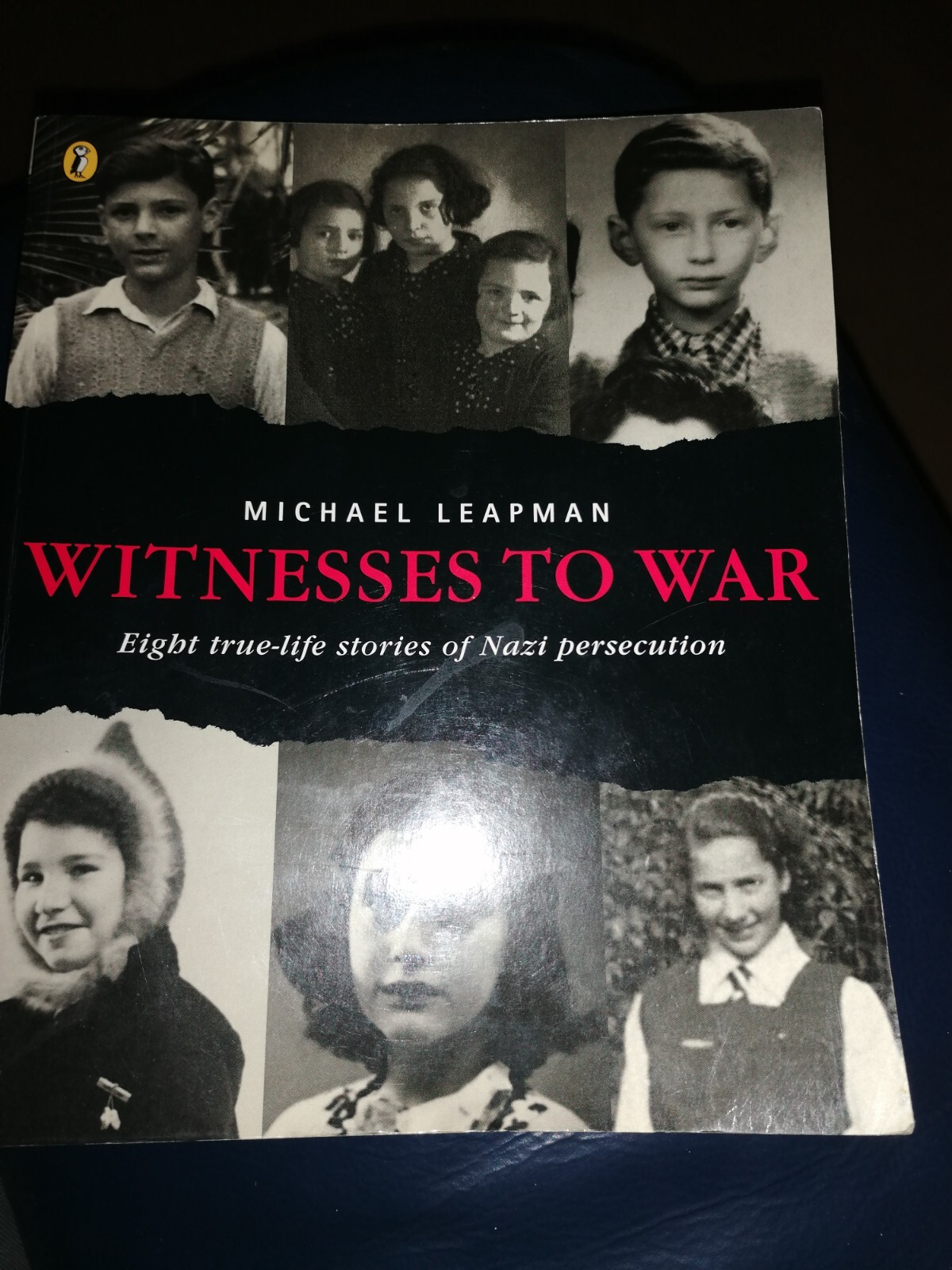 Witnesses to War – 8 True Life Stories of Nazi Persecution – Michael Leapman