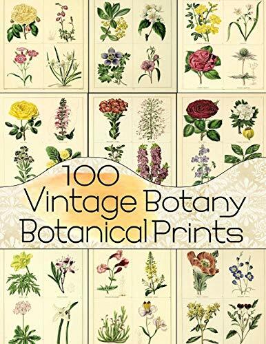 100 Vintage Botany Botanical Prints (Floral Ephemera Series) by Anders, C.
