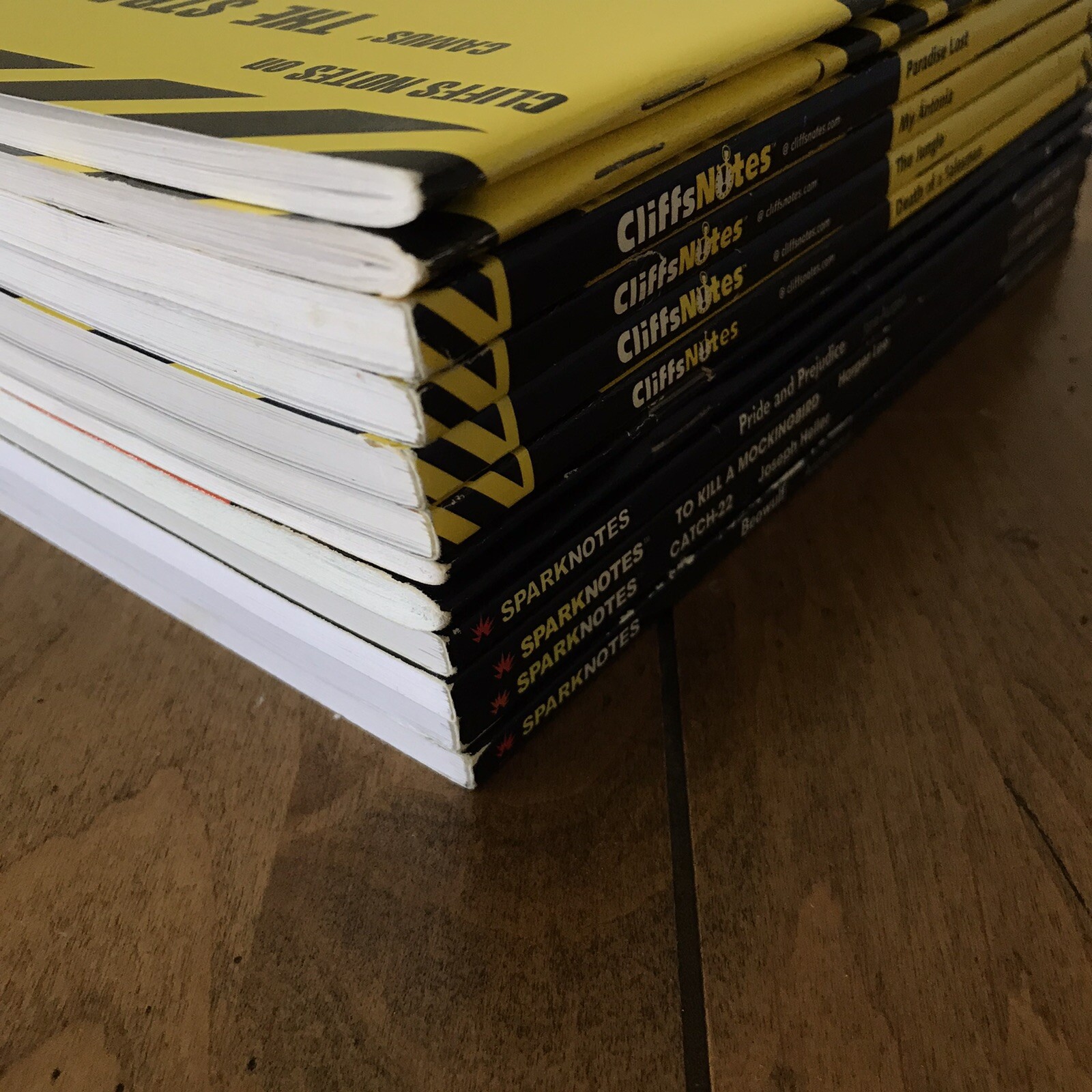 Cliffs Notes + Spark Notes + Monarch Notes CHOOSE ONE from lot