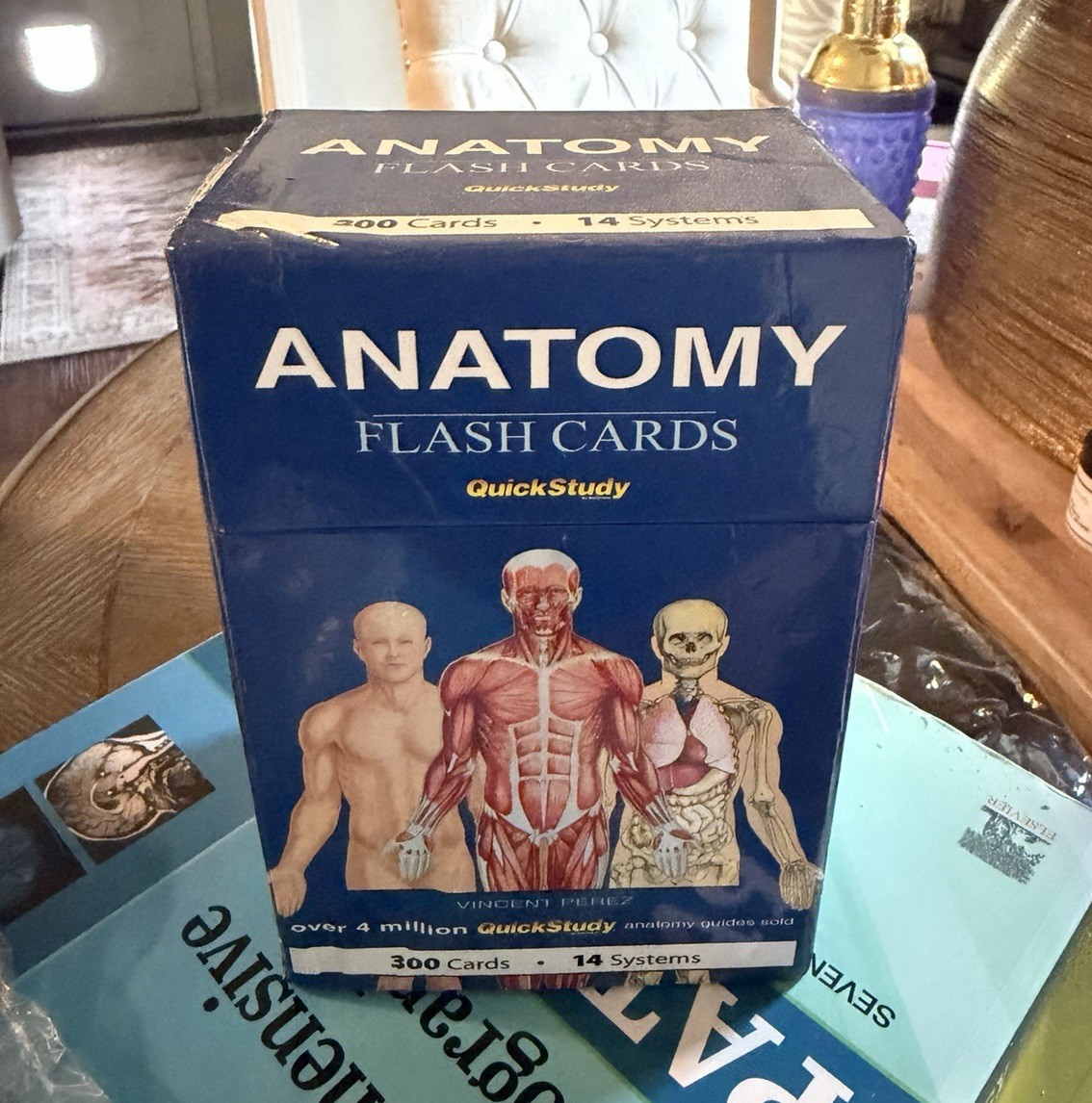 QuickStudy Anatomy Flash Cards 300 Cards 14 Systems Laminated Illustrated Box