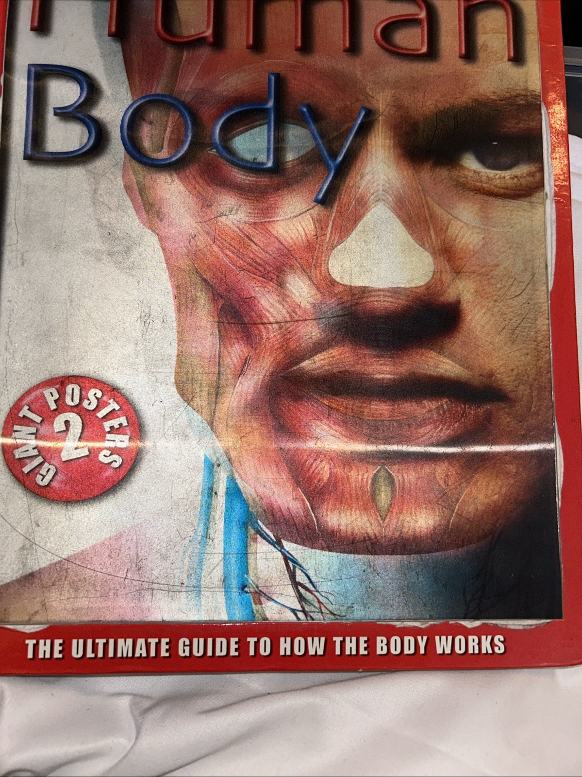 HUMAN BODY POSTER BOOK: ULTIMATE GUIDE TO HOW THE BODY By John Farndon & Belinda