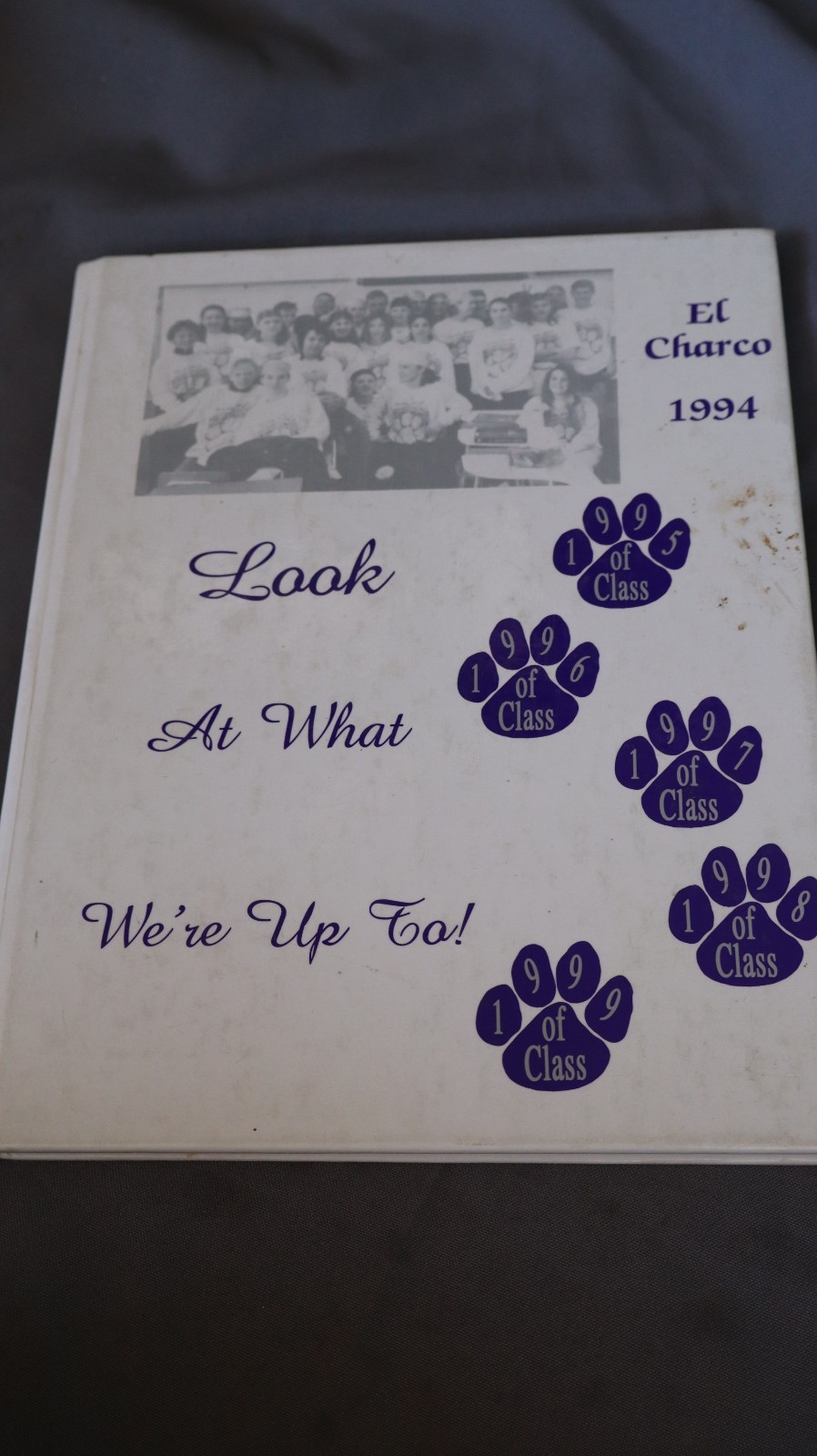 YEARBOOK 1994 WELLS NEVADA HIGH SCHOOL