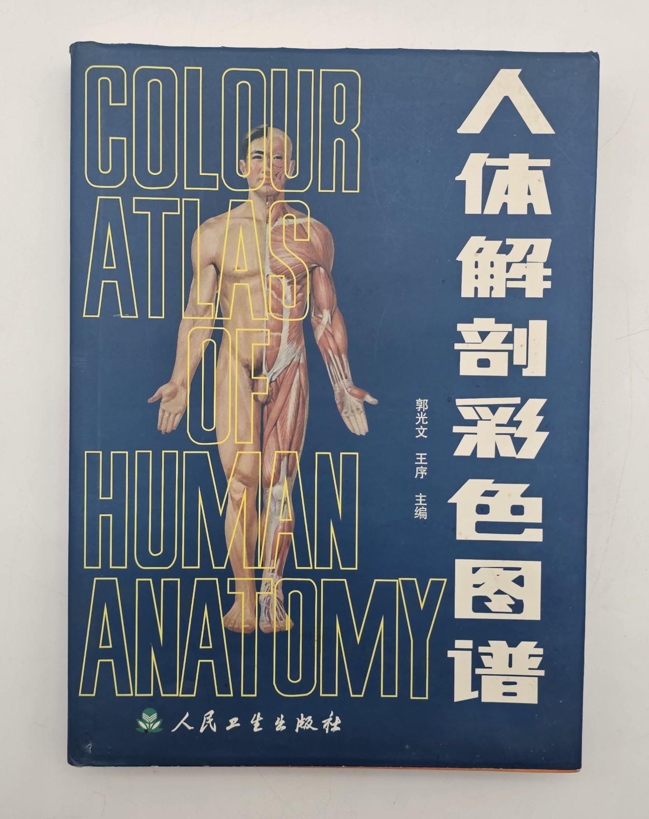 Colour Atlas Of Human Anatomy Book Double Languages English Chinese Nurse Doctor