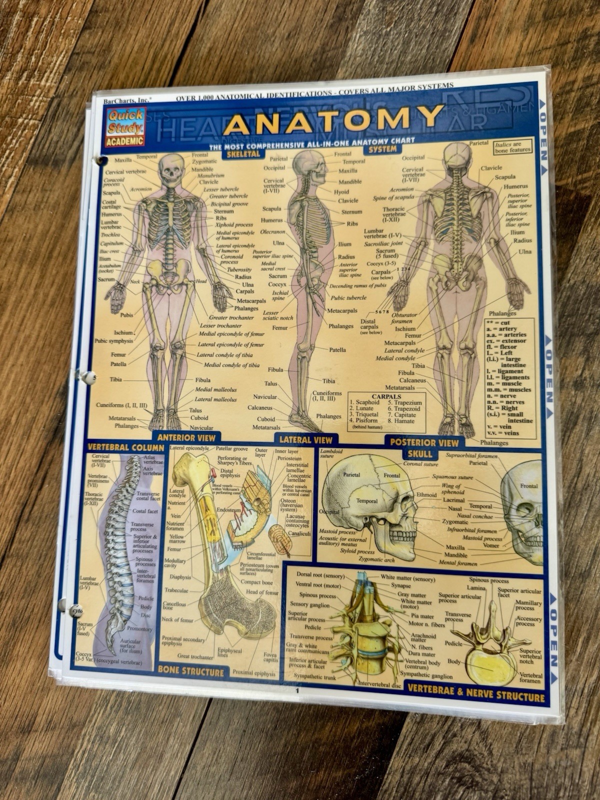 NEW Bar Charts Quick Study Laminated Study Guides Bundle of 6 Human Body