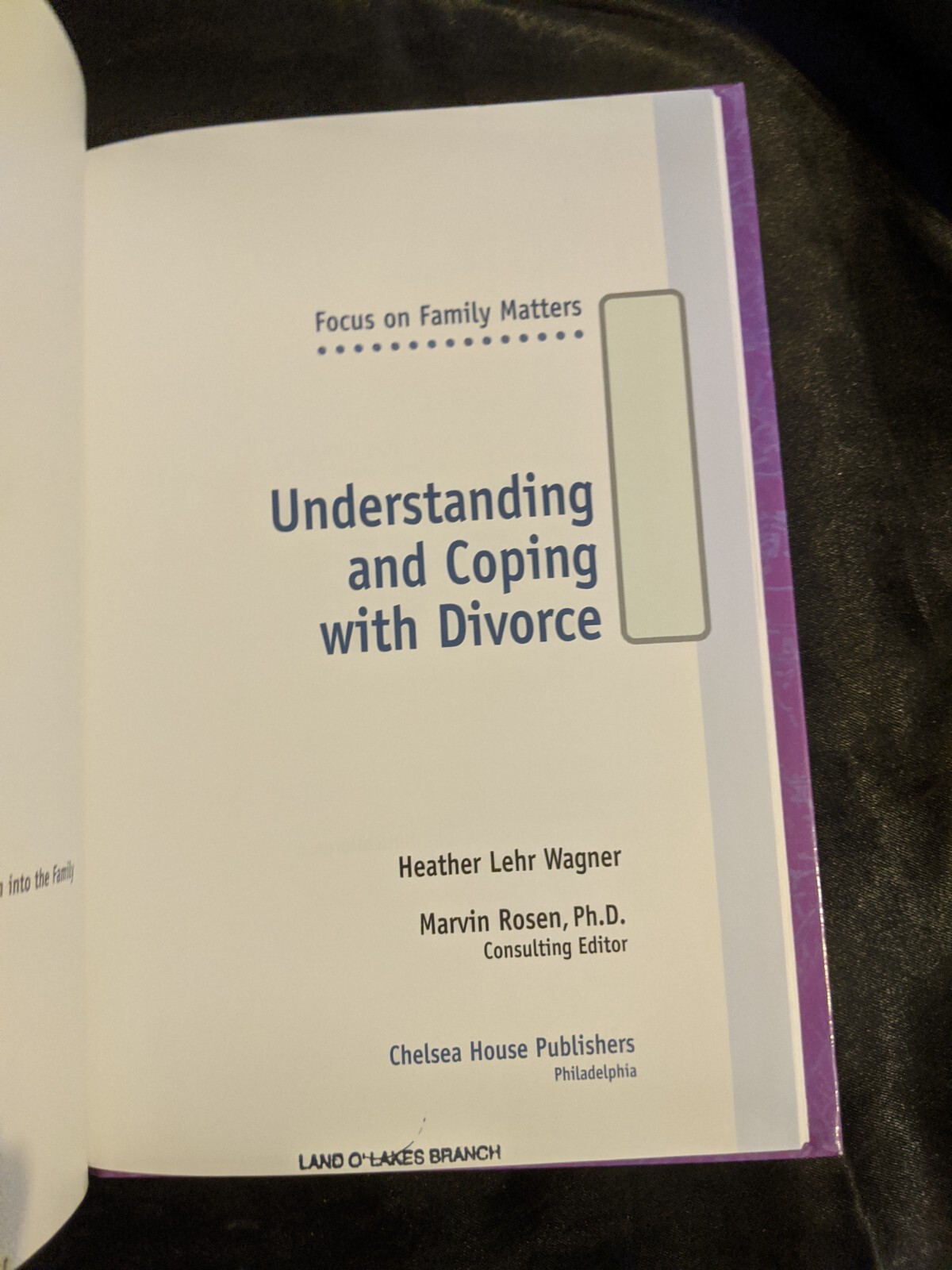 Understanding and Coping with Divorce by Heather Lehr Wagner