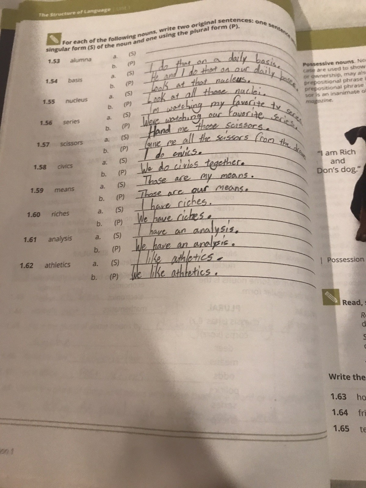 Language Arts Lifepac Full Set