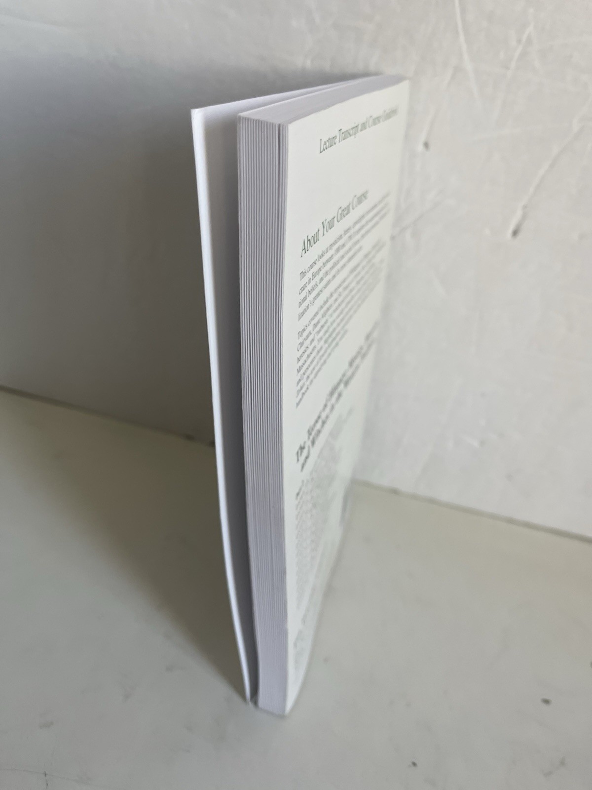The Great Courses Lecture Transcripts Guidebook TERROR OF HISTORY Witches Part 2