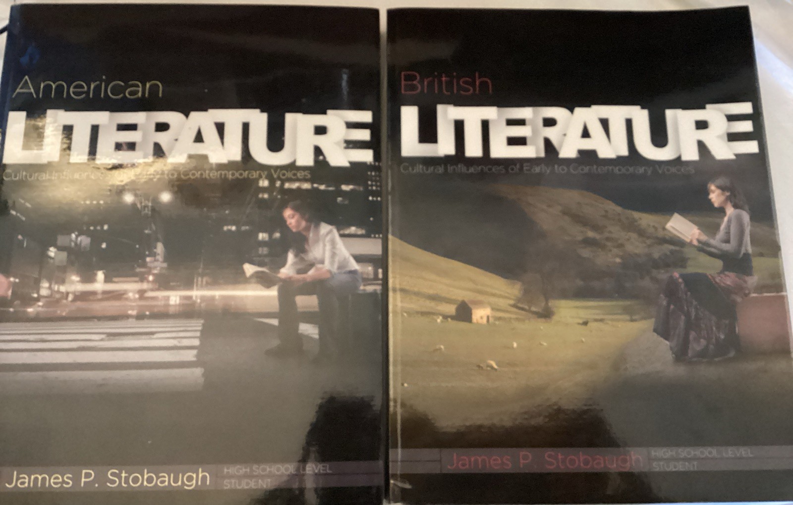 Lot 2 American British Literature: Cultural Influences of Early to Contemporary