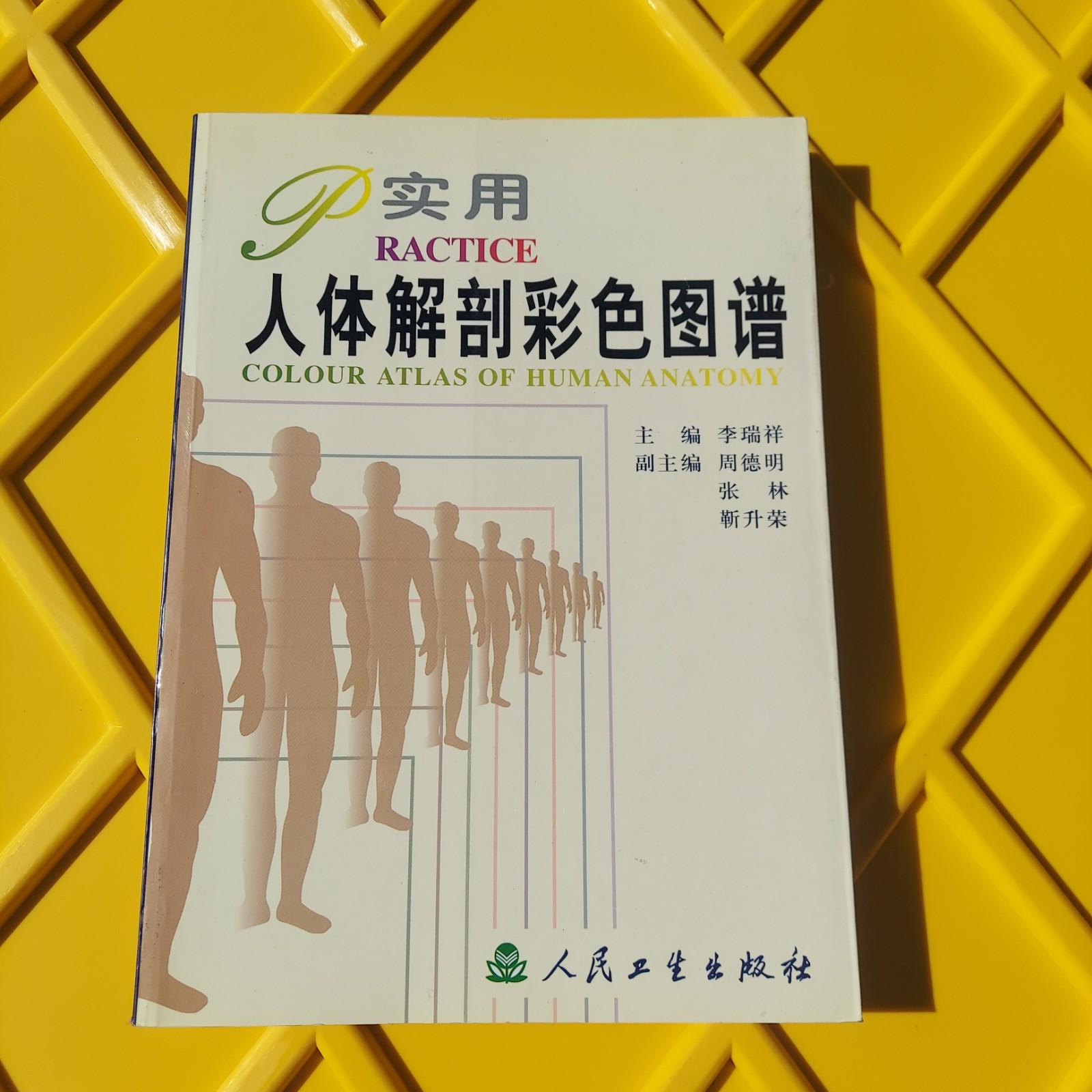 Colour Atlas Of Human Anatomy Chinese 彩色人體解剖圖譜 Acupuncture Oriental Medicine