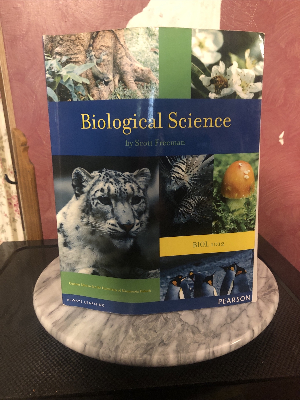 Biological Science By Scott Freeman