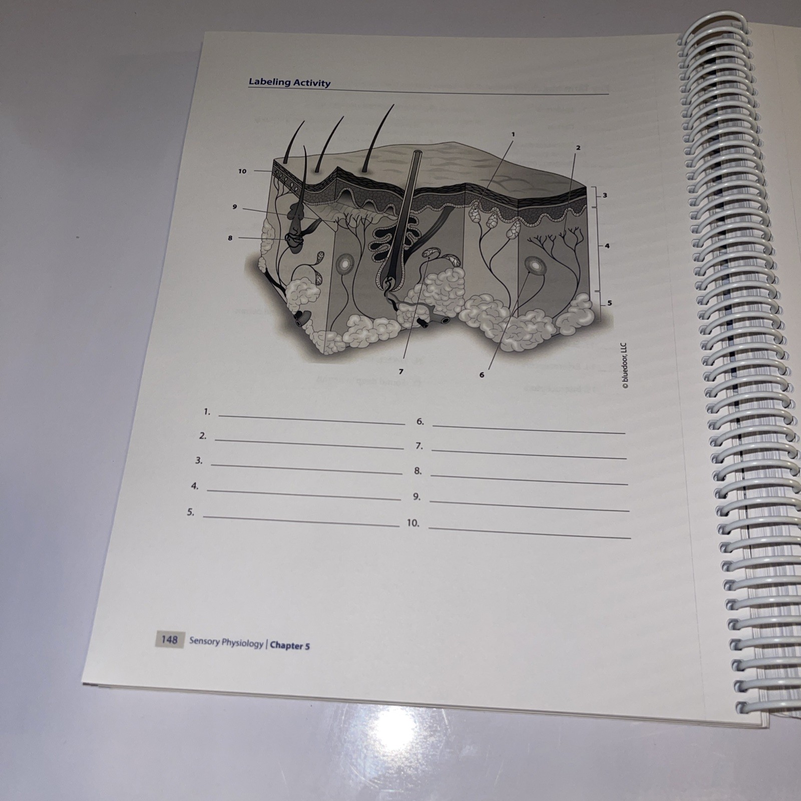 NEW Human Physiology Experimental Concepts, And Clinical Applications Dow Worley