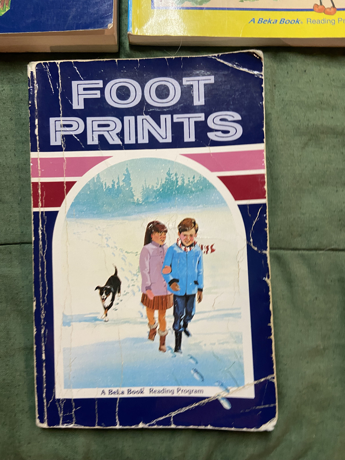 A Beka Books Reading Programs (25 books)