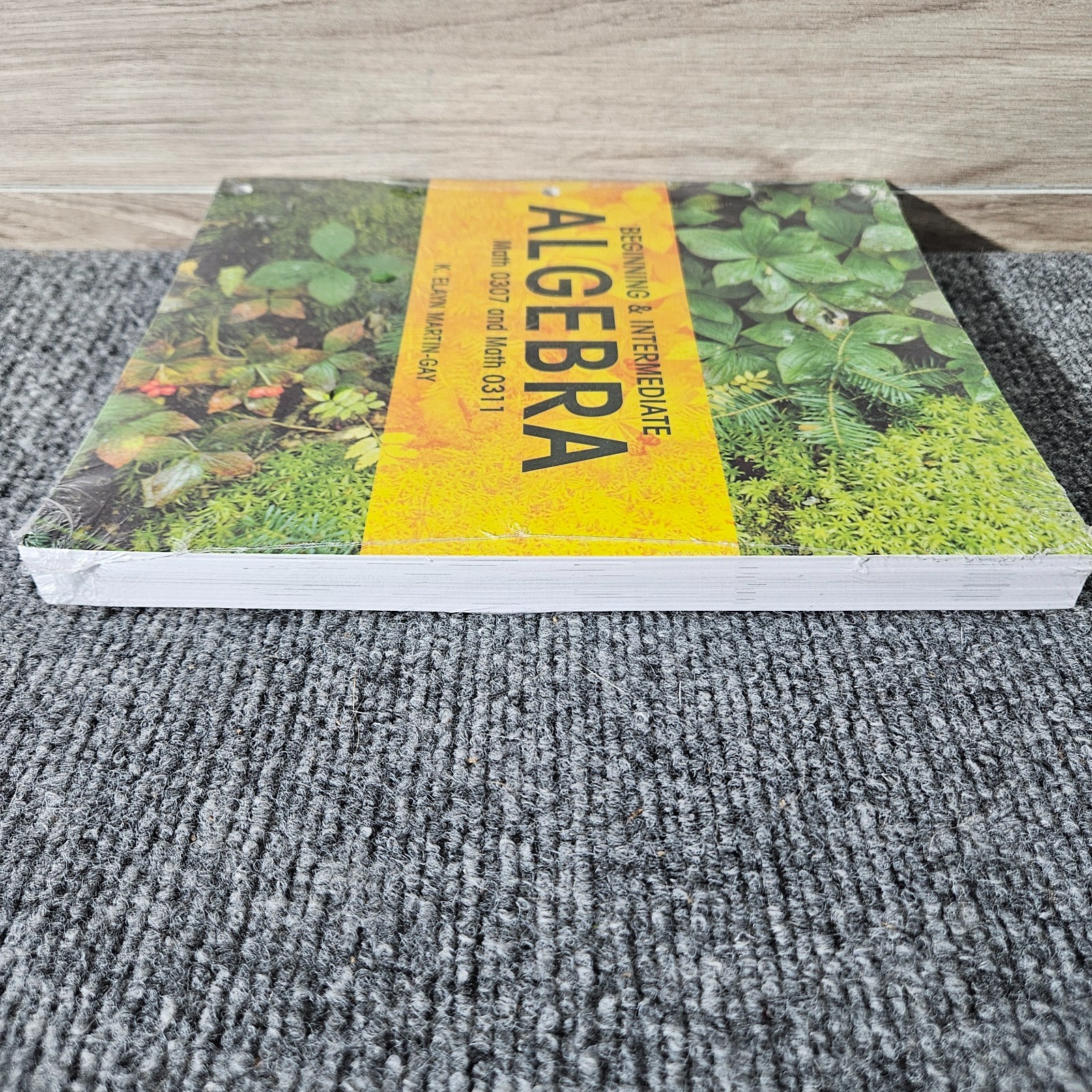Beginning & Intermediate Algebra Martin-Gay Math 0307 0311 Pearson Loose Leaf