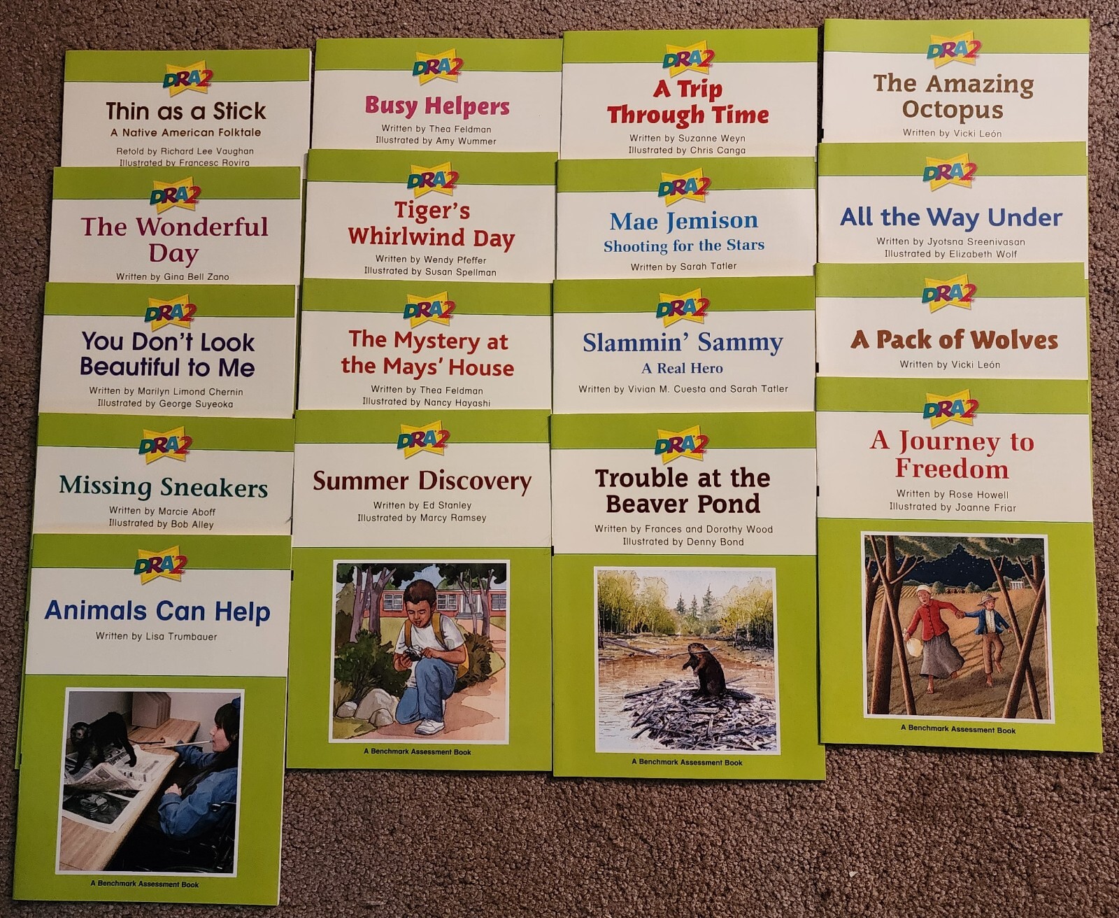 Pearson DRA2 Developmental Reading Assessment Grade 3 -5 Level 24-40 Lot of 17