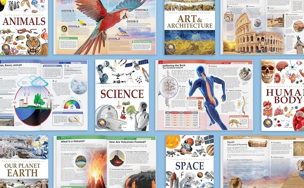 Knowledge Encyclopaedia Boxed Set 8 Paperback Books For Kids Age Group 10+