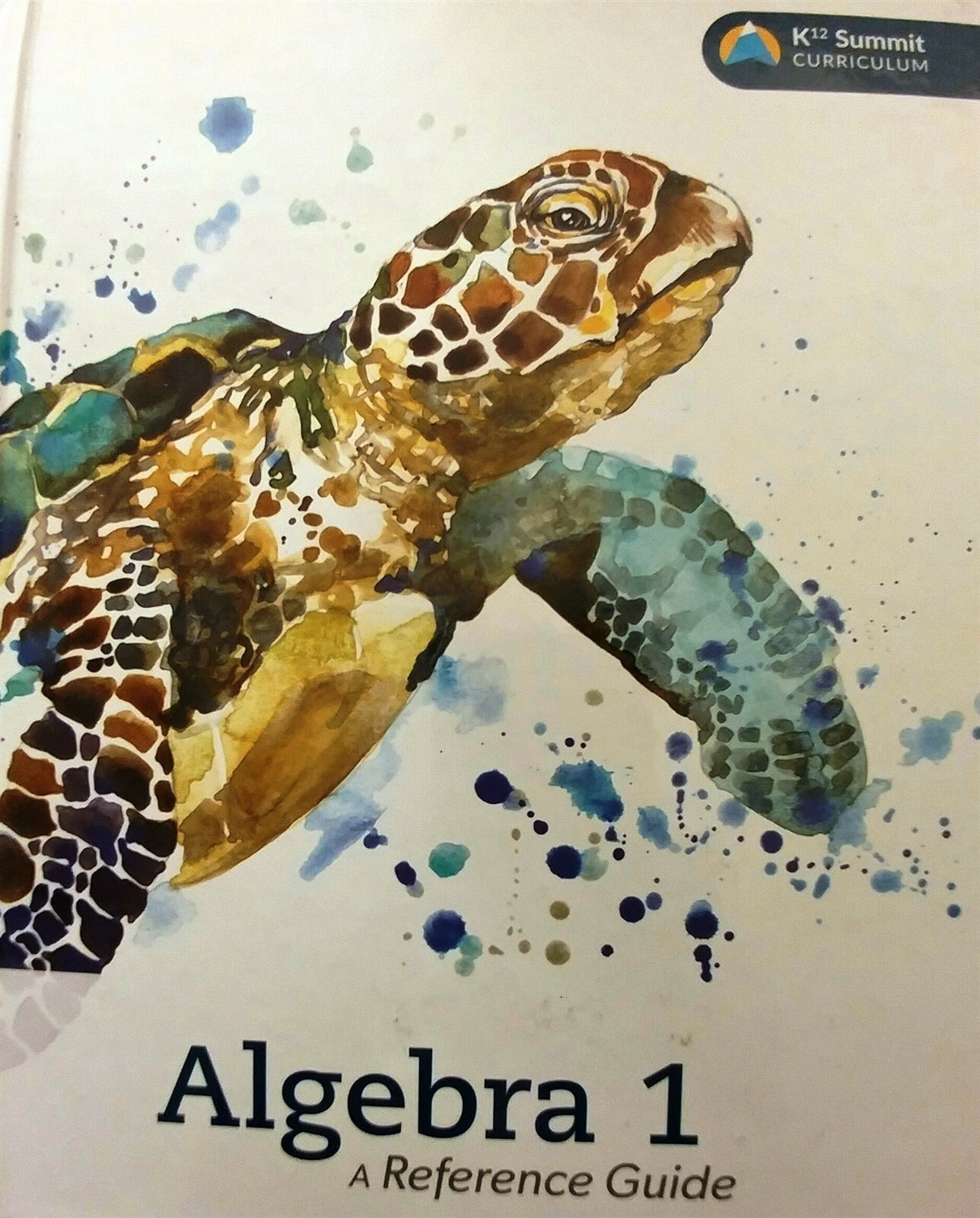 Algebra 1 A Reference Guide K12 Summit Curriculum Hardcover 2016 2019 Printing