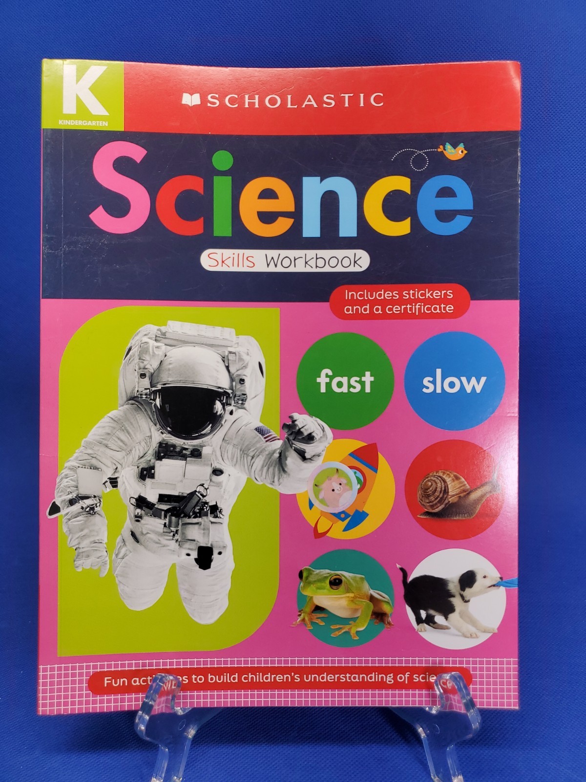 Scholastic Kindergarten SCIENCE Skills Workbook -Brand New