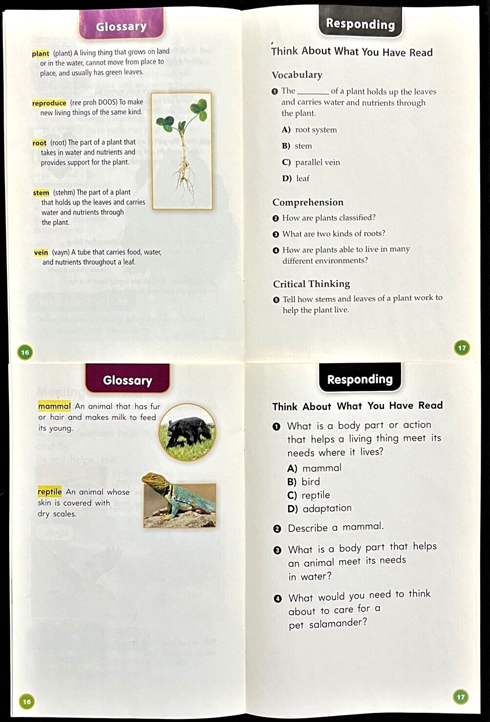 3rd – 4th Grade – SCIENCE SUPPORT READERS (6 books) (2006, Houghton Mifflin)