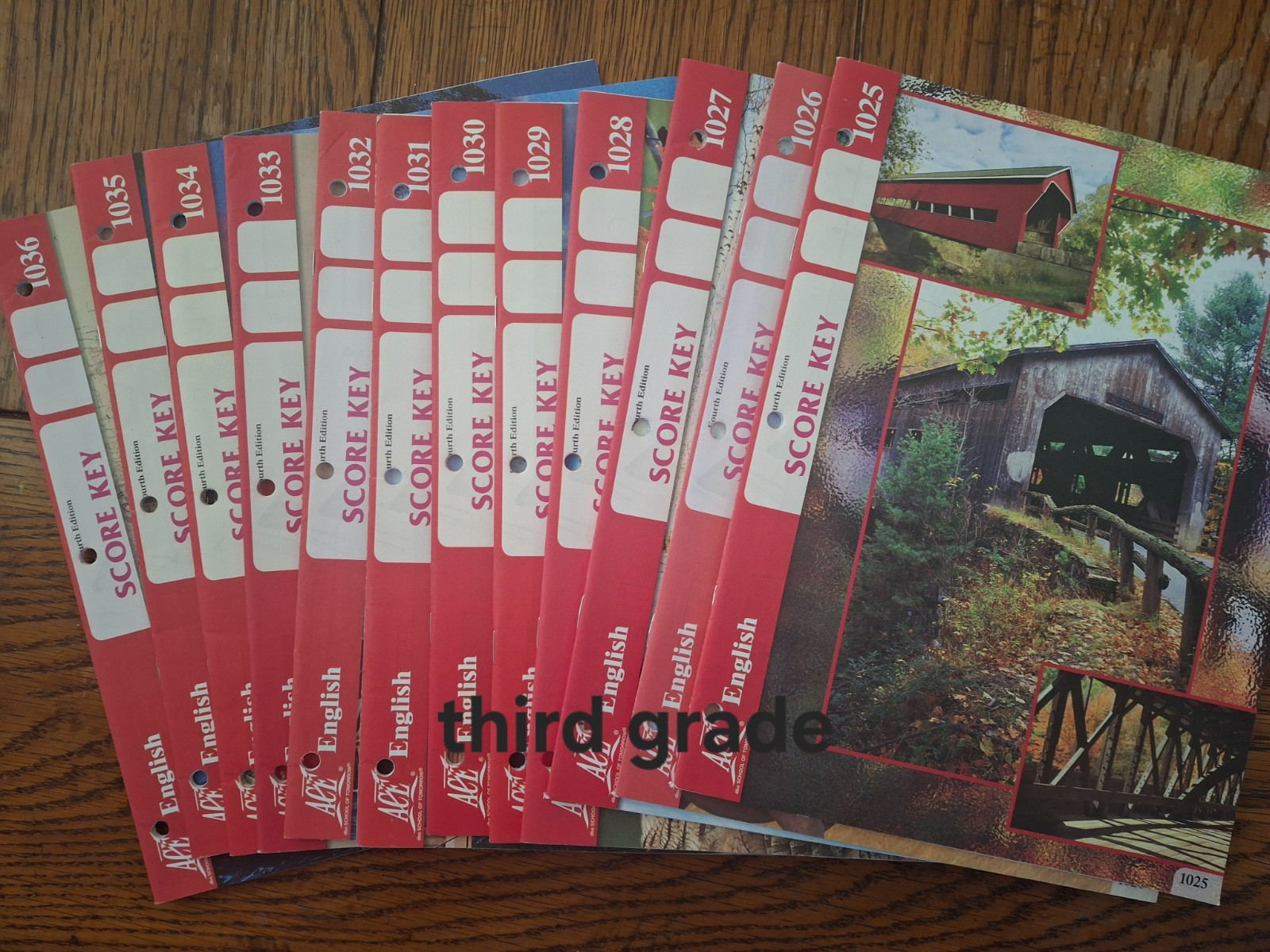 ACE School of Tomorrow English Grade 3 Score Keys 1025-1036 Complete Set