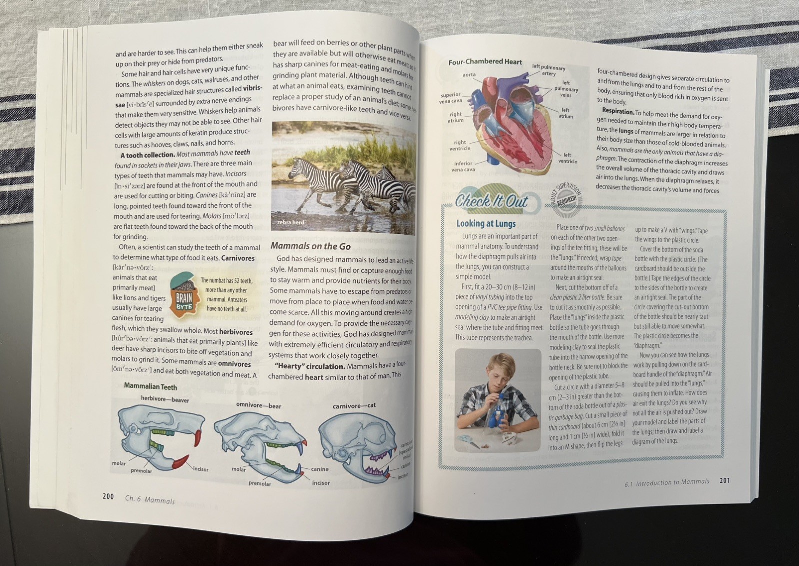 Abeka Science Order And Design second edition textbook & answer key