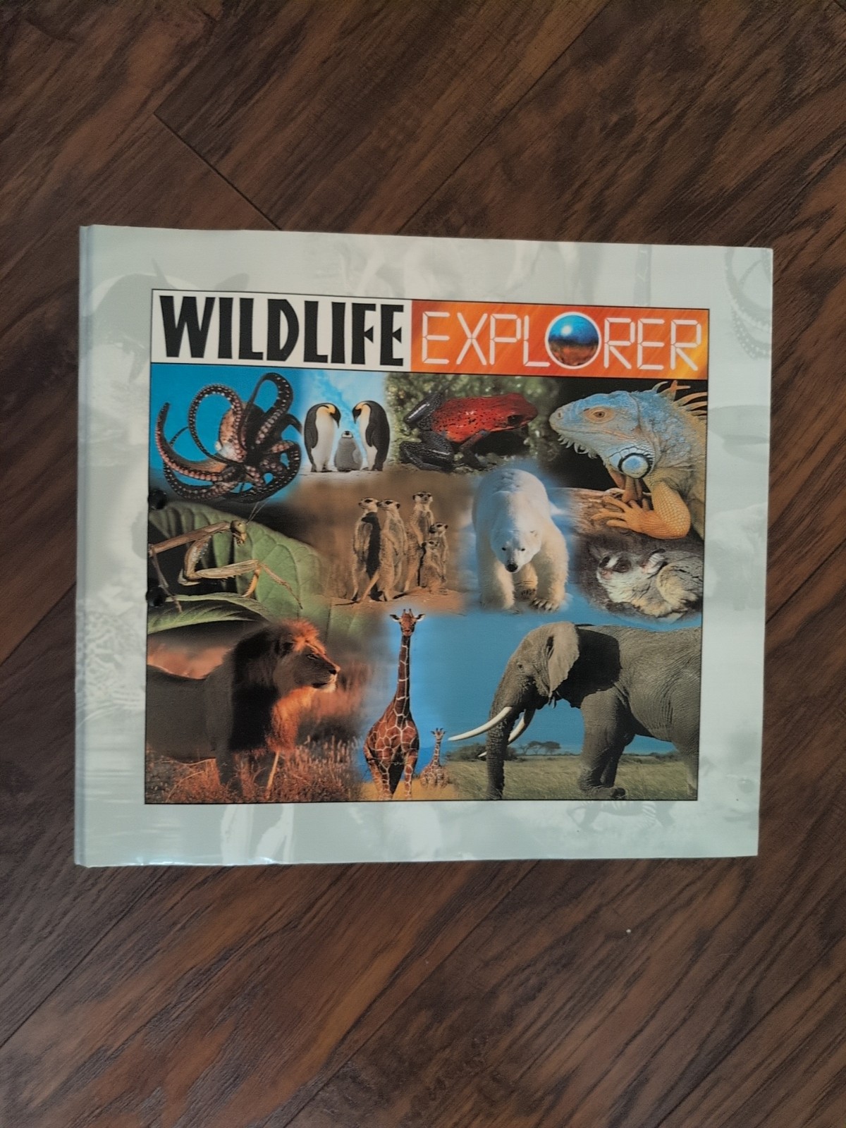 Wildlife Explorer Binder Book Filled With Animal Fact Fold Out Cards 1998 GUC