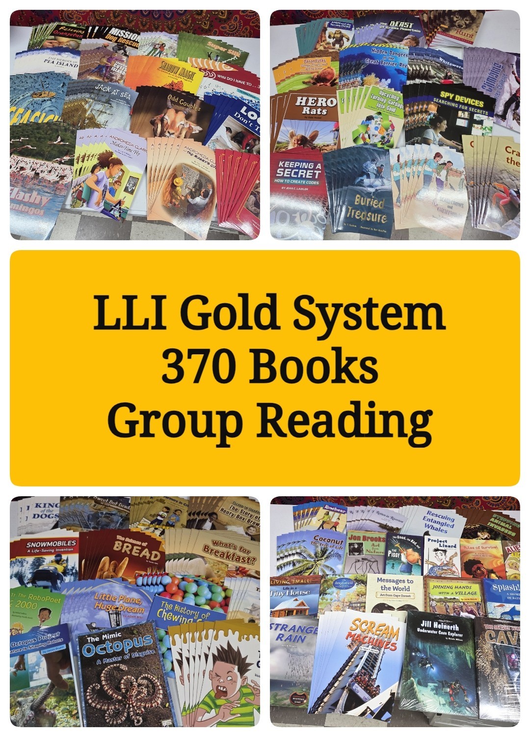 Lot of 370 – LLI Gold (97-184, Missing Titles) – Fountas Leveled Literacy