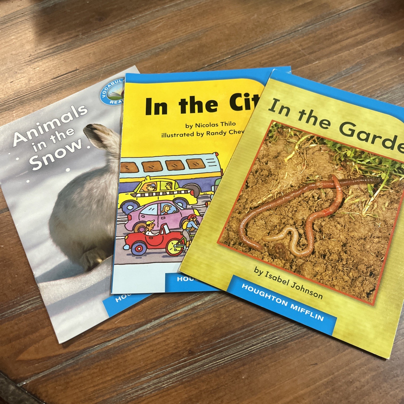 Lot Of 51 Kindergarten Grade Leveled Readers Vocab Class School MGH Houghton