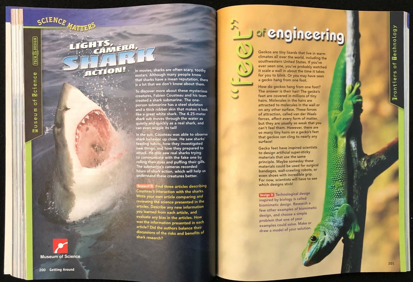6th – 8th THE DIVERSITY OF LIFE Interactive Science Workbook (2011, Pearson)