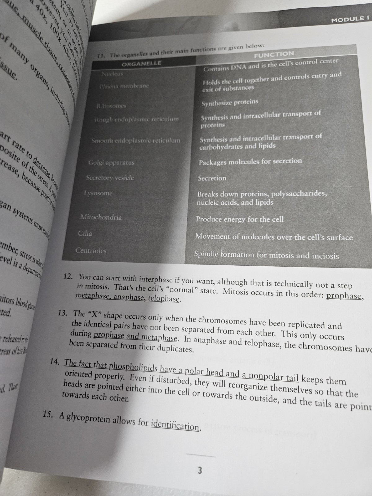 Exploring Creation Advanced Biology 2d Ed Human Body Homeschooling Solutions