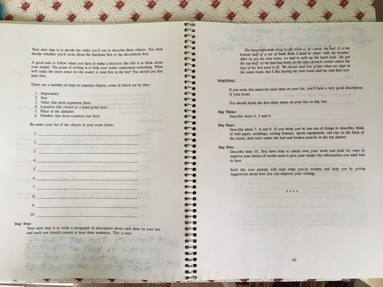 Writing Strands Level 3 by Dave Marks Lesson and Writing Assignment.
