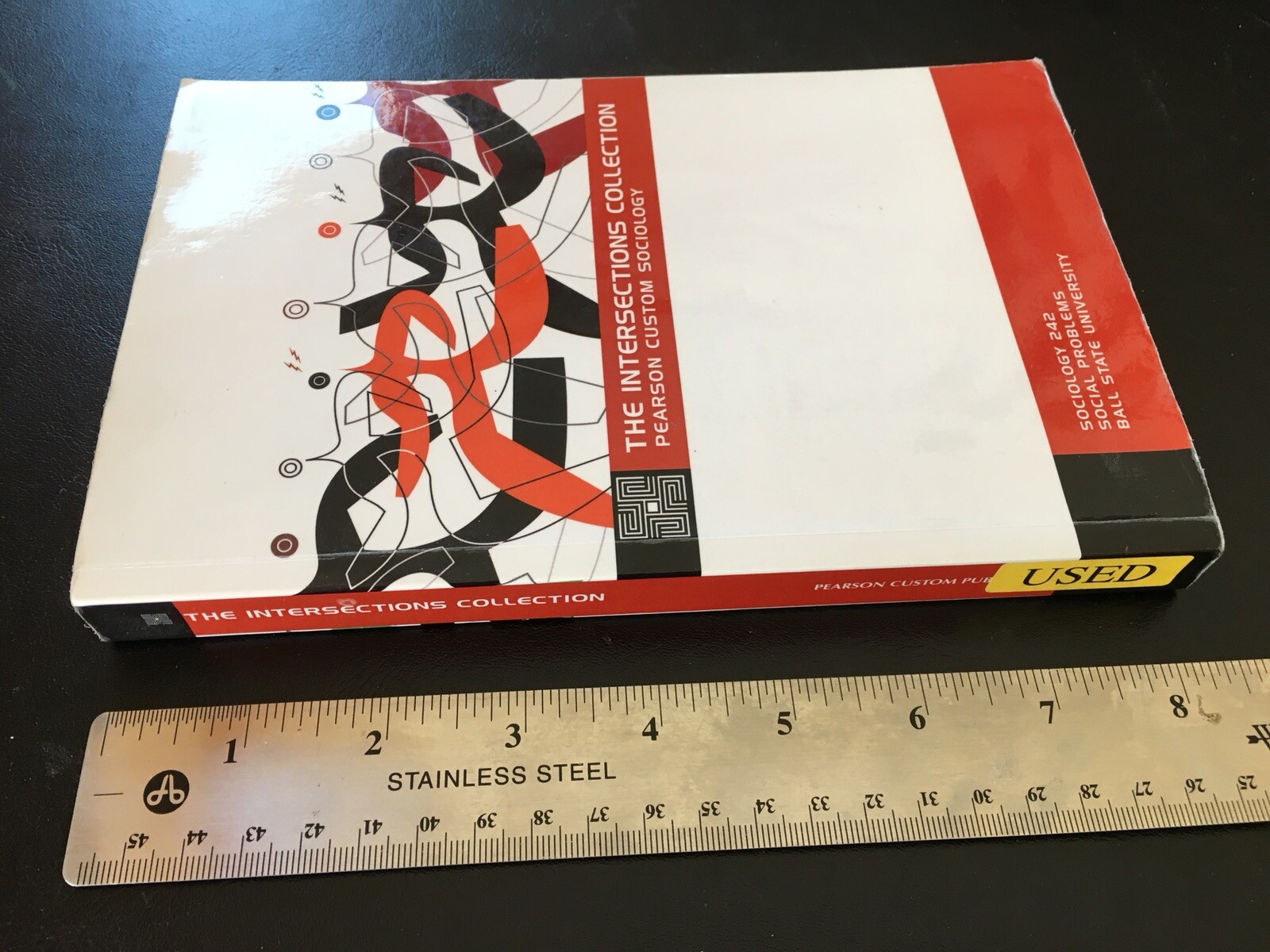 The Intersections Collection Pearson Custom Sociology Social Problems 2009