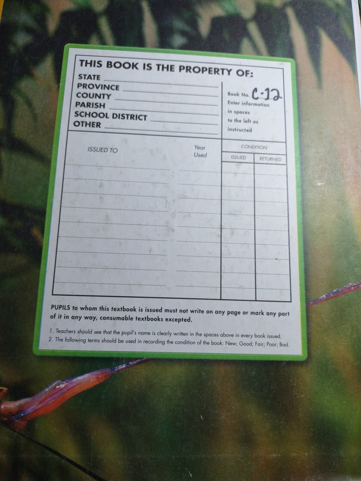 Elementary Science Closer Look Ser.: Science, a Closer Look, Grade 4, Student…