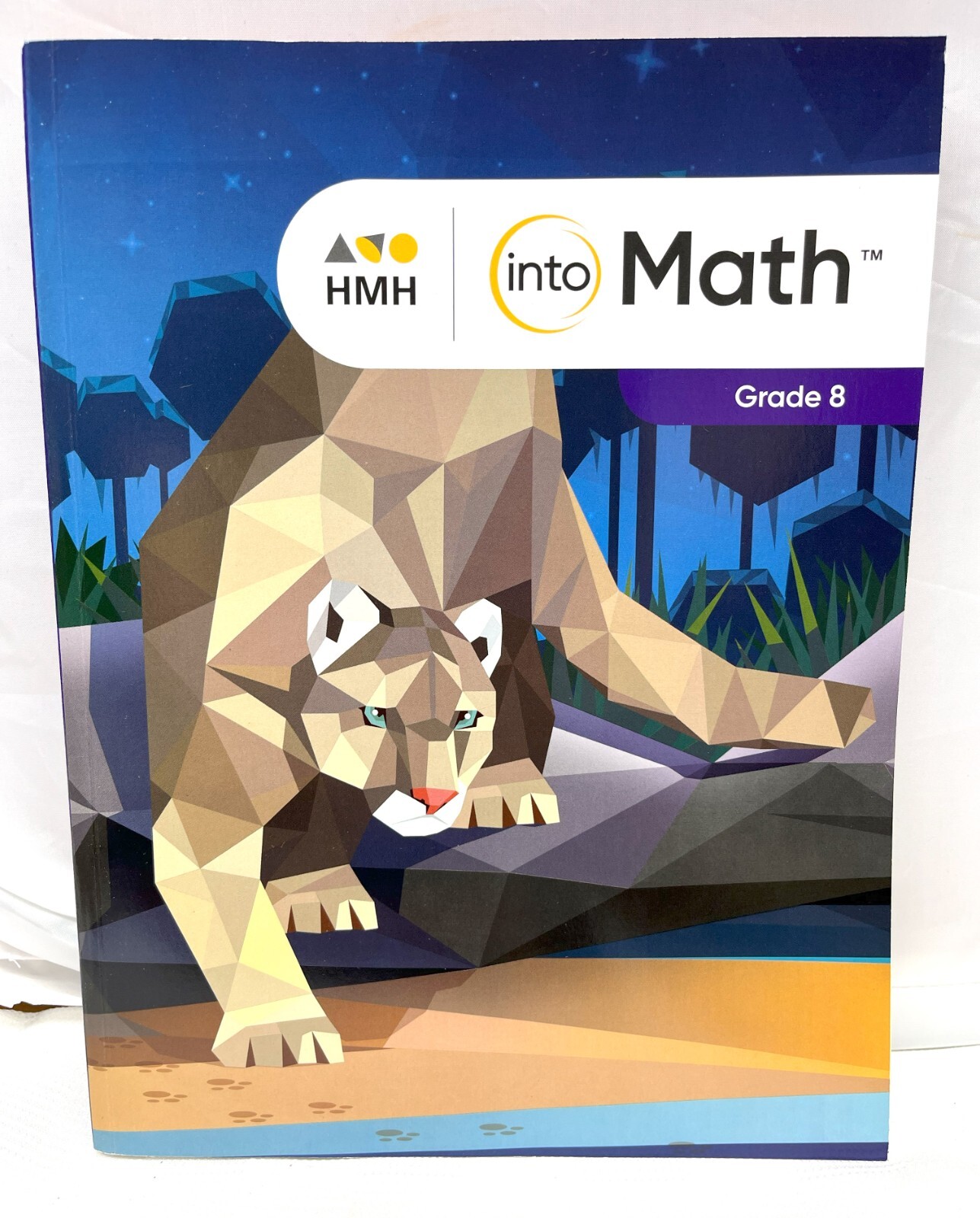 HMH: into Math Student workbook Grade 8