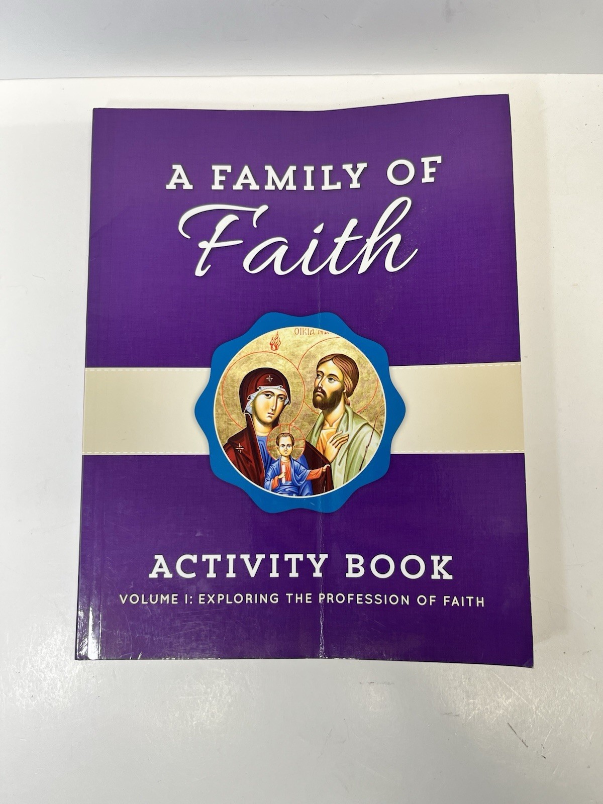 Family of Faith Vol 3 Life in Christ Activity Book and Parents Guide Catechesis