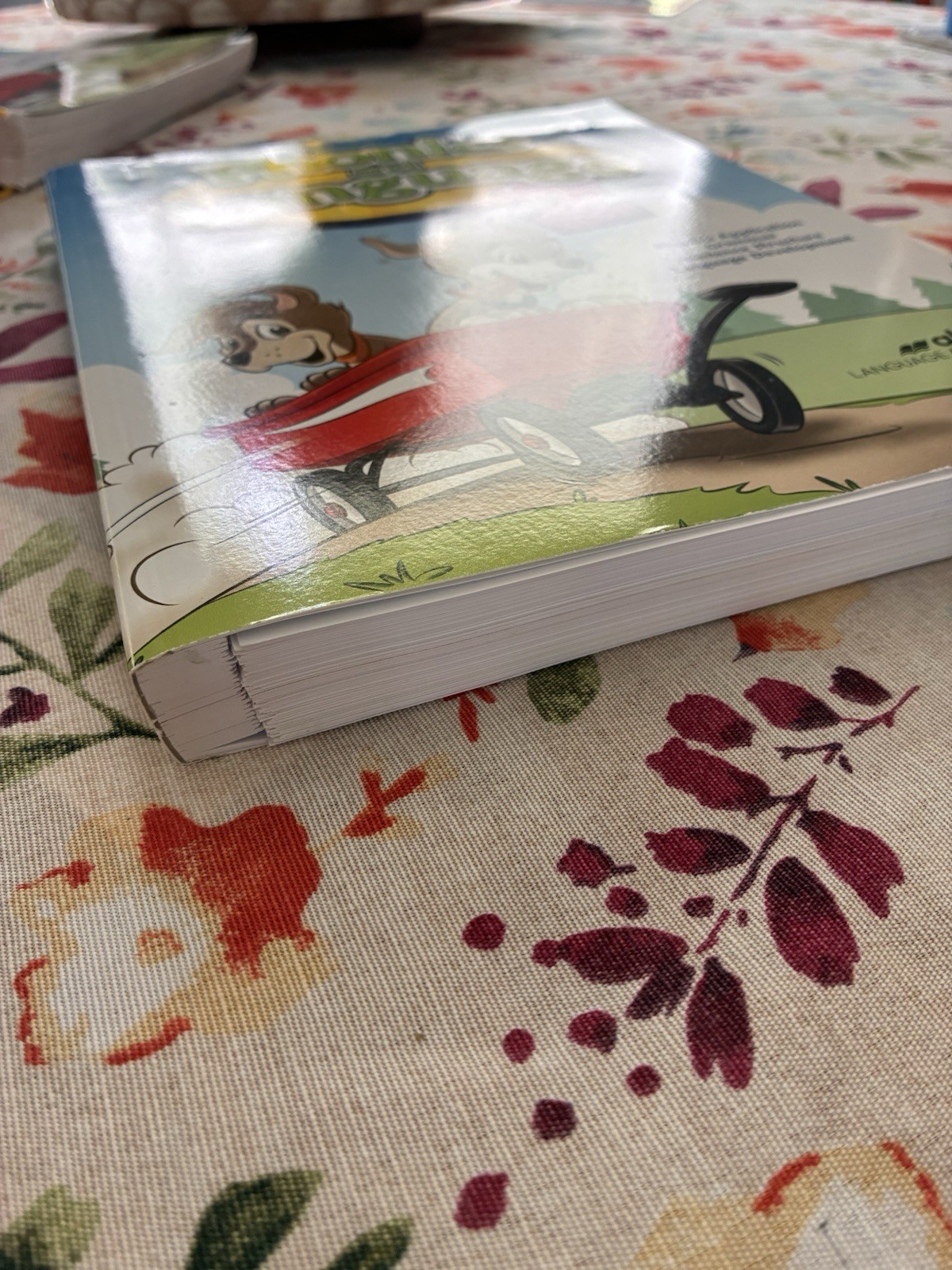 Abeka 2nd Grade Phonics and Language Student and Teacher Books Clean Copies