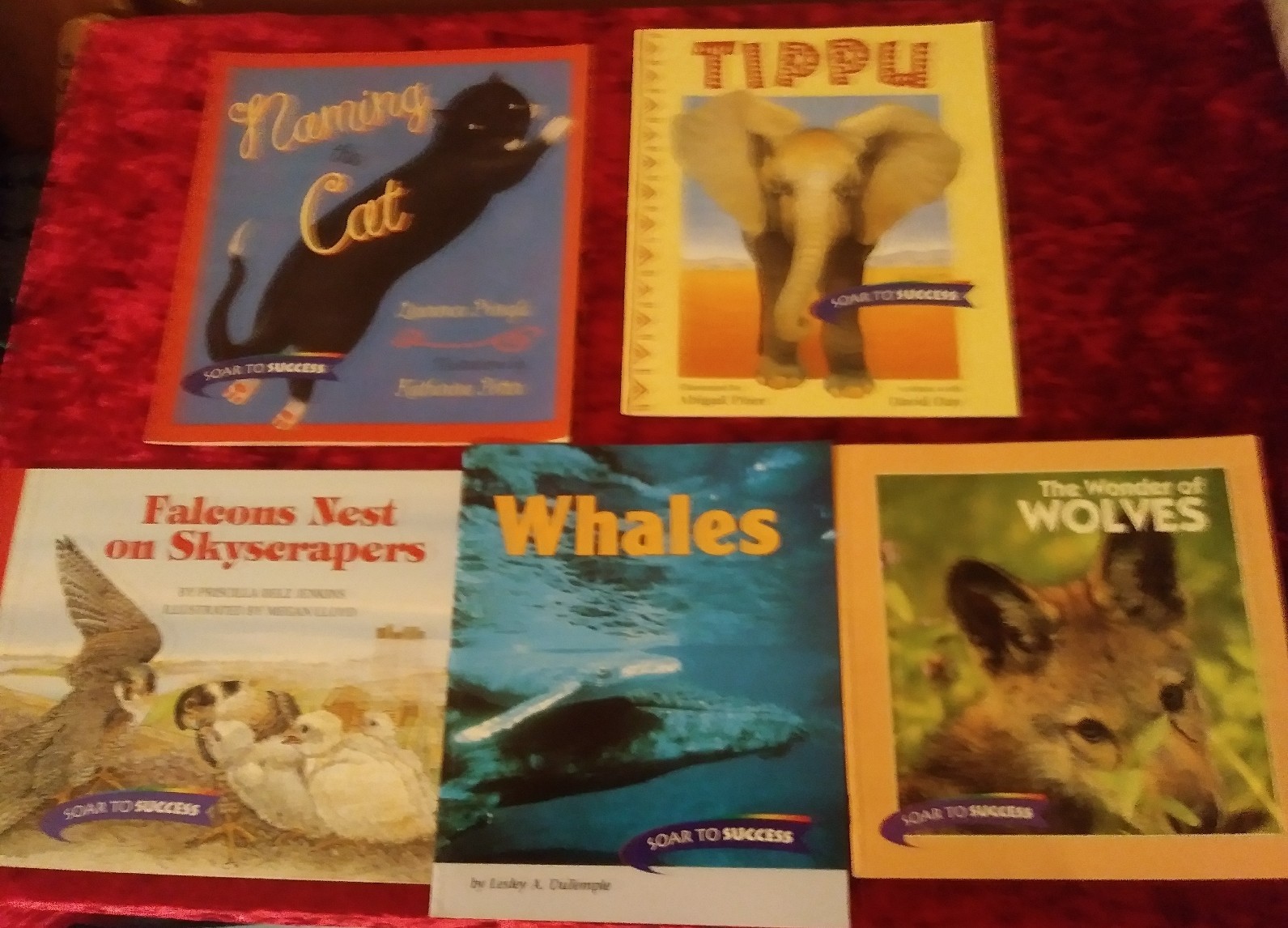 SOAR TO SUCCESS – Level 4 Reading Bundle (5 book set) Houghton Mifflin