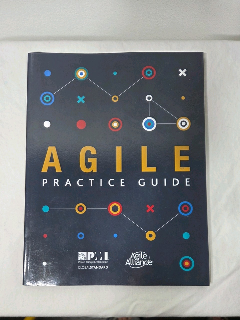 Project Management Institute Guide Sixth Edition, Agile, PMP Exam Prep Bundle