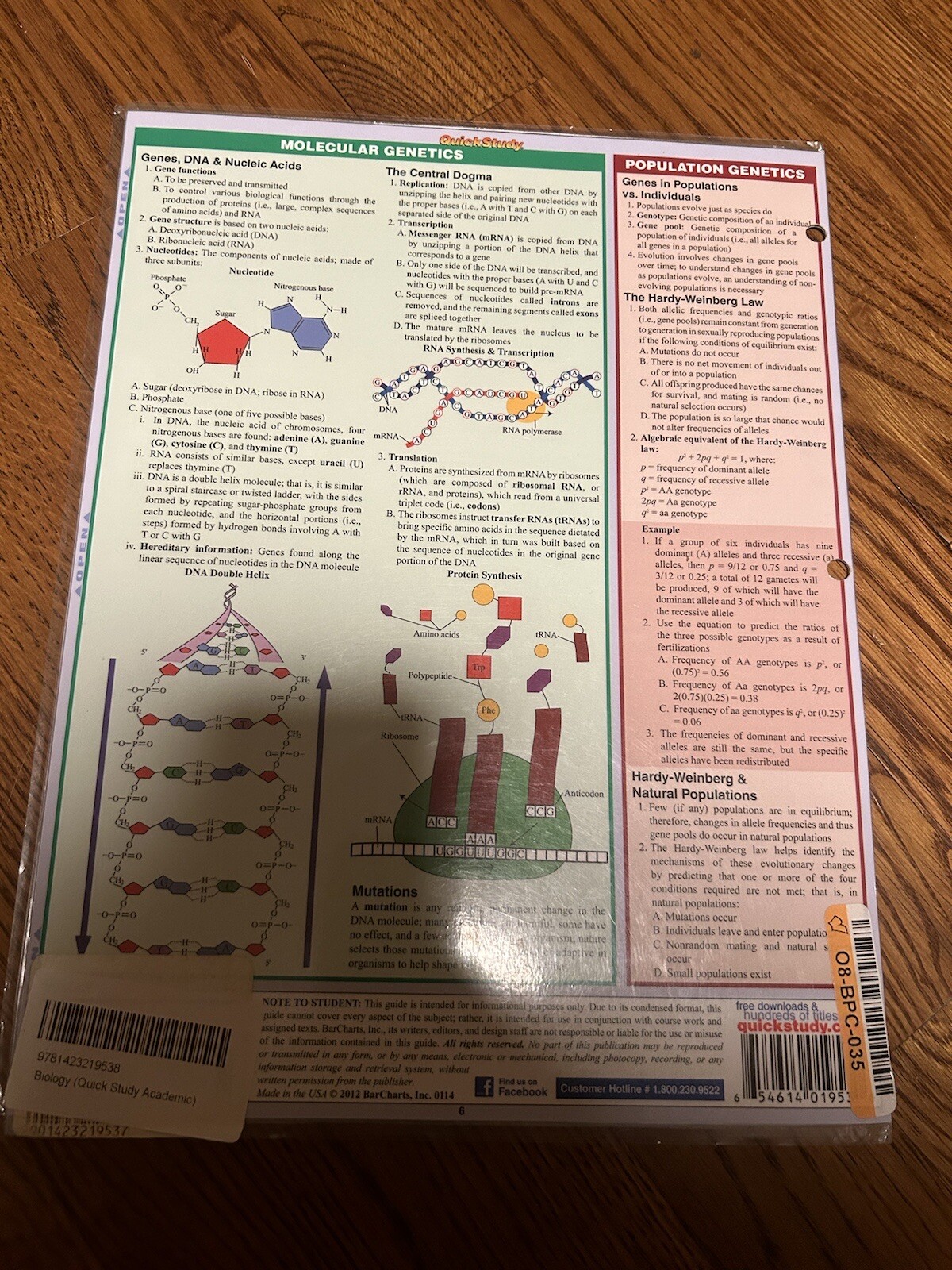 BarCharts Quick Study Academic Guide BIOLOGY & Anatomy Bundle Review Homeschool