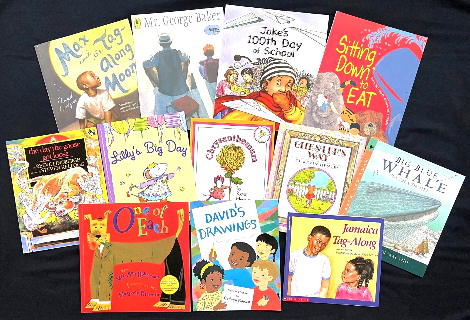 1st Grade – FOUNTAS & PINNELL – Interactive Read-Aloud (12 books)