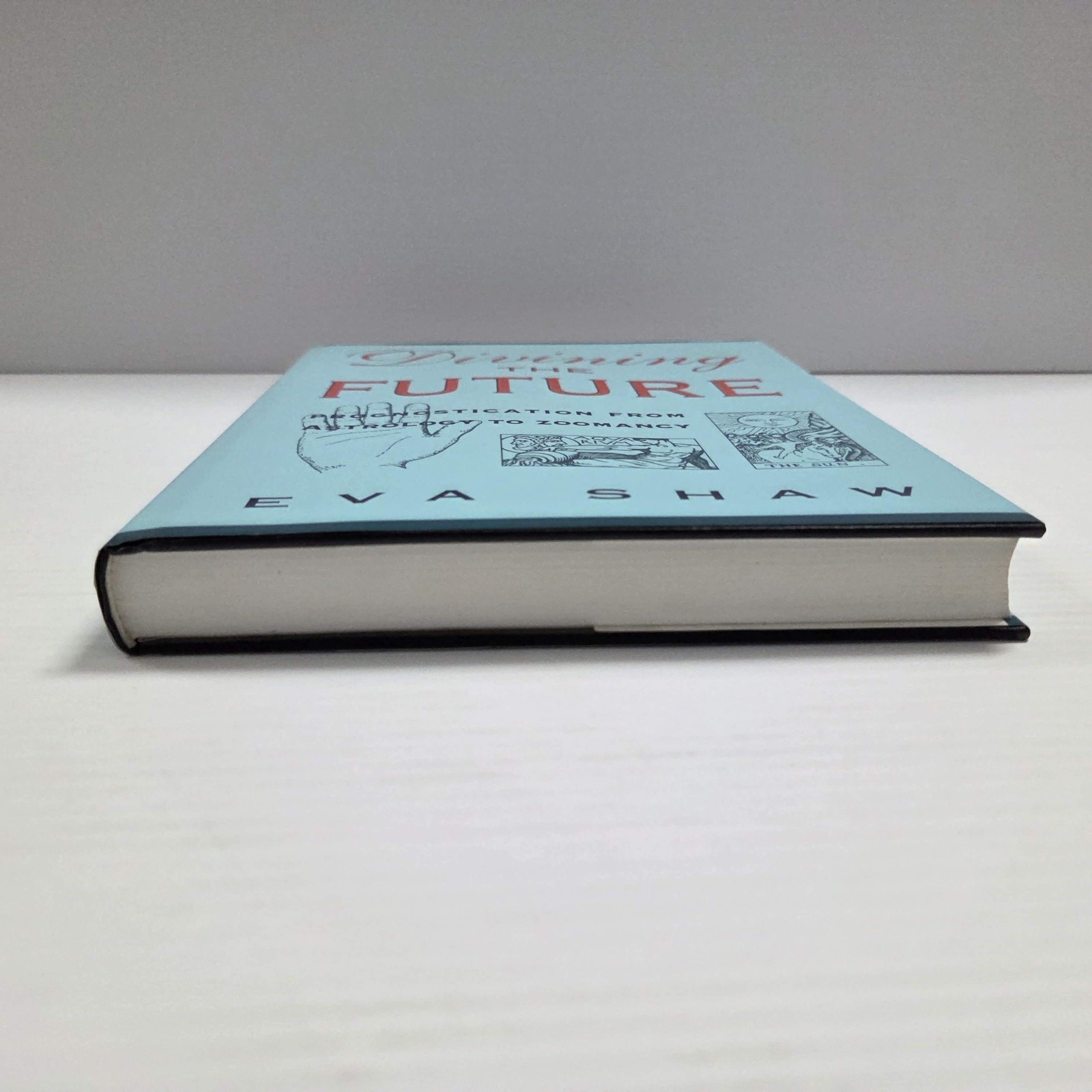 DIVINING THE FUTURE Prognostication From Astrology To Zoomancy by Eva Shaw HC/DJ