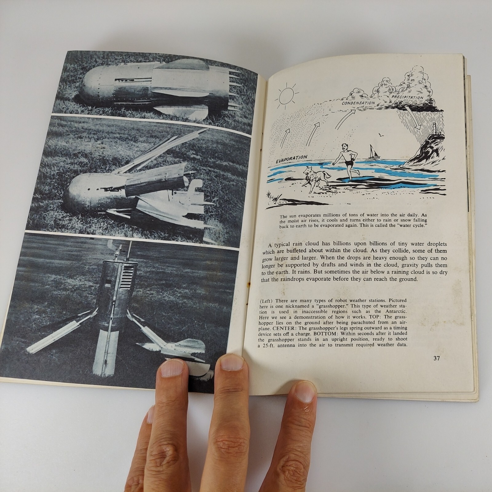 Science Service Weather Science Program Illustrated PB 1963 Doubleday