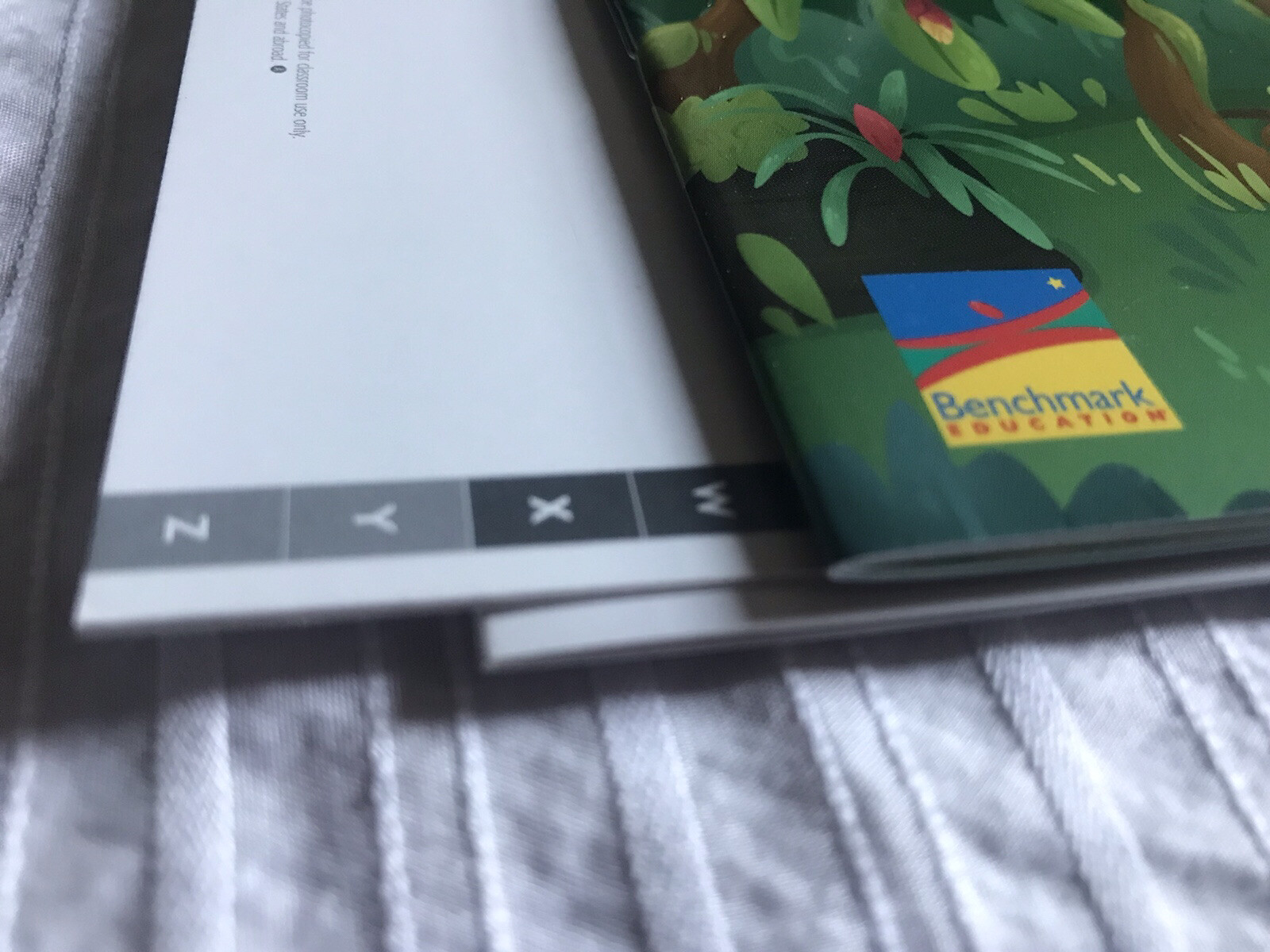 Benchmark Education Grade 3 Unit 1: Rain Forest Mystery – Cynthia Clampitt