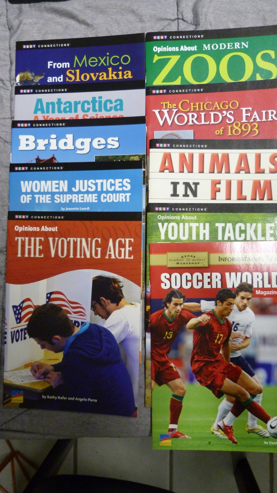 (Ten) 10 Benchmark Education: Text Connections Books Homeschooling #9