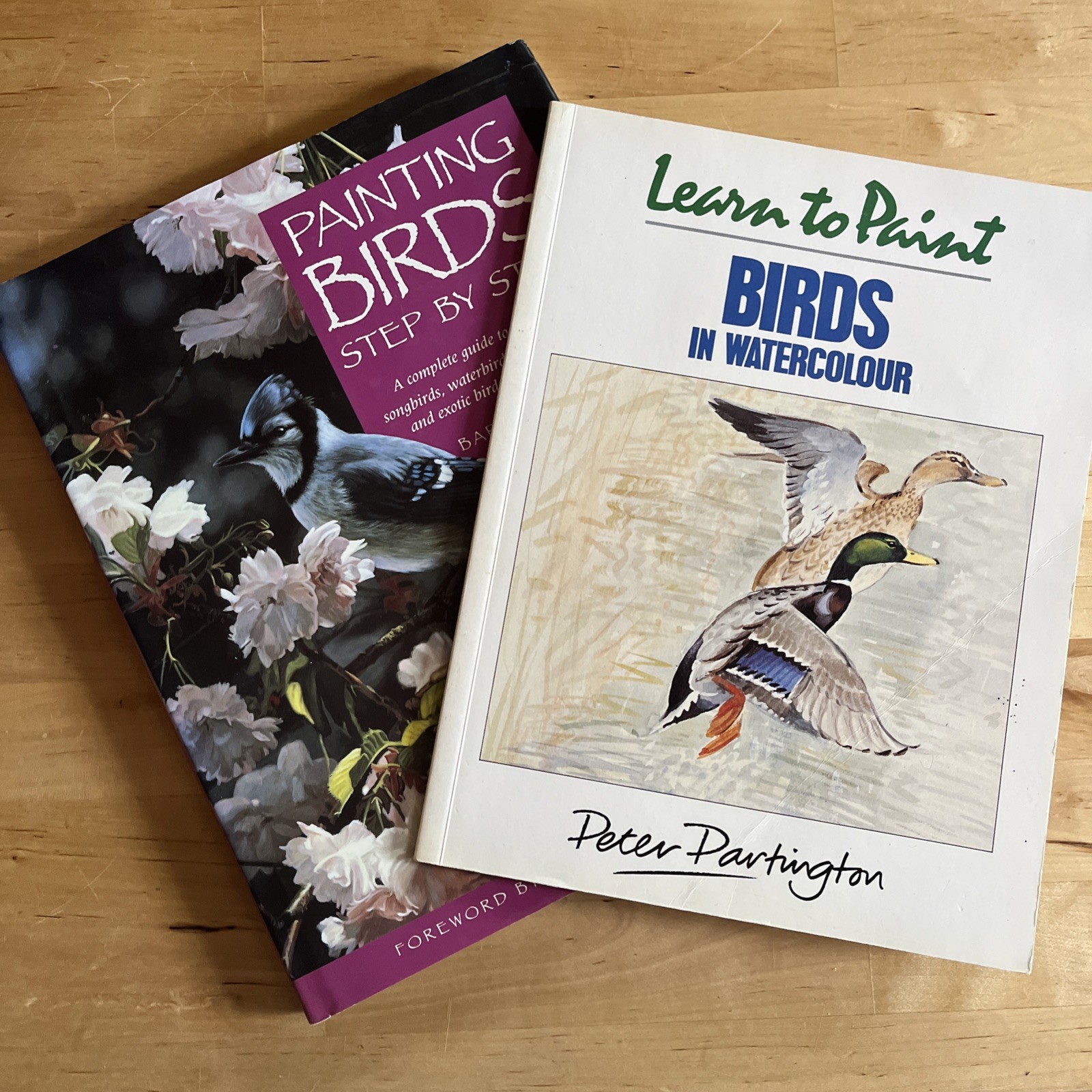 Lot of 2 Books: Learn to Paint Birds in Watercolour/Painting Birds Step By Step