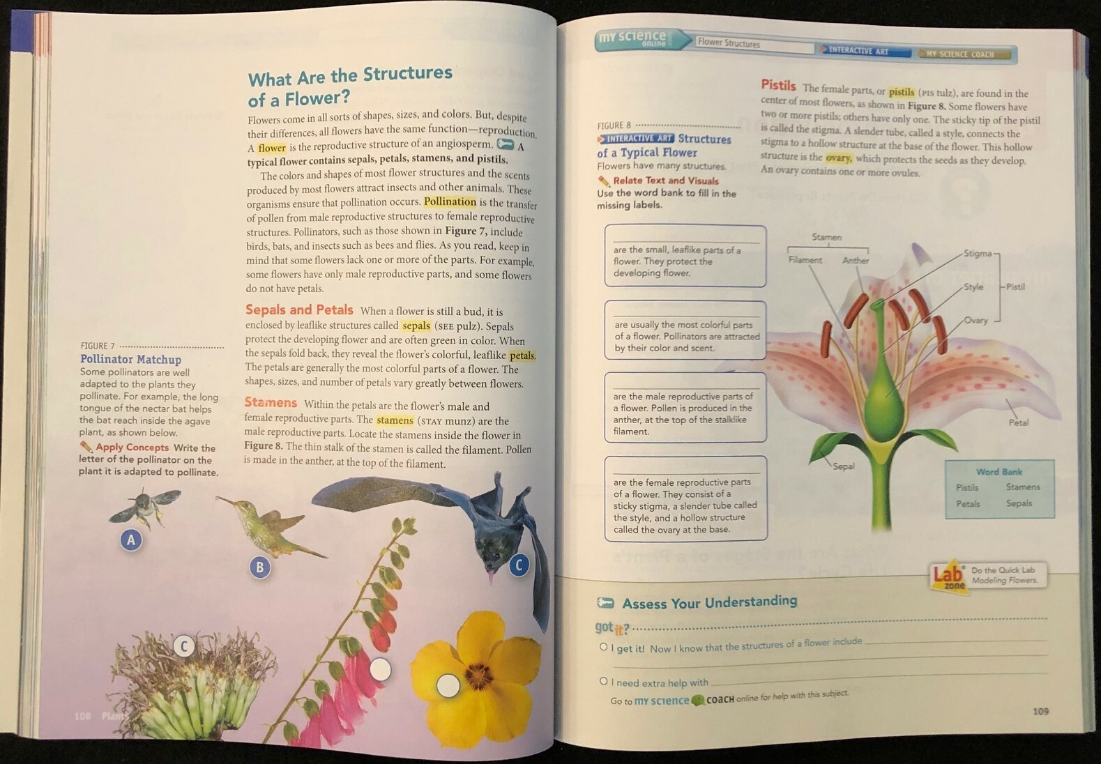 6th – 8th THE DIVERSITY OF LIFE Interactive Science Workbook (2011, Pearson)