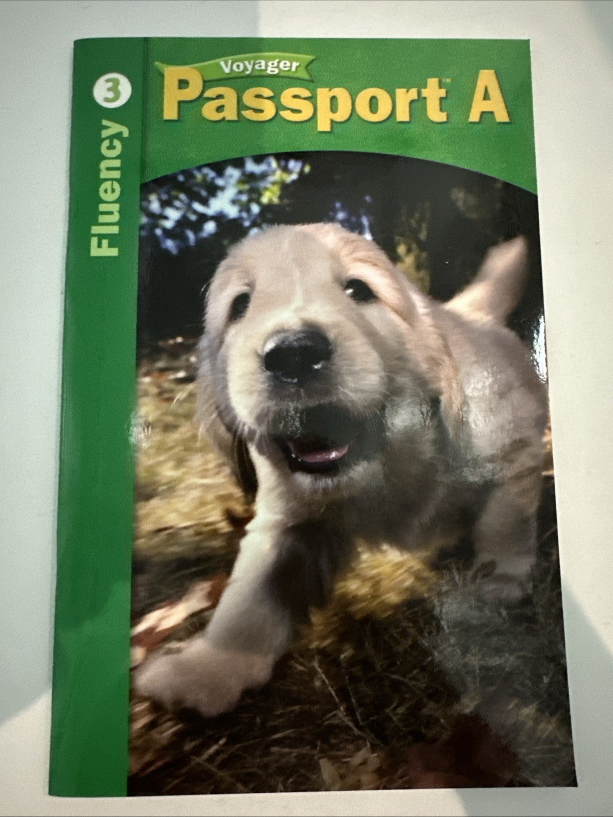 Voyager Passport Level A Fluency Book 3/ 2008 Made In USA NEW OS