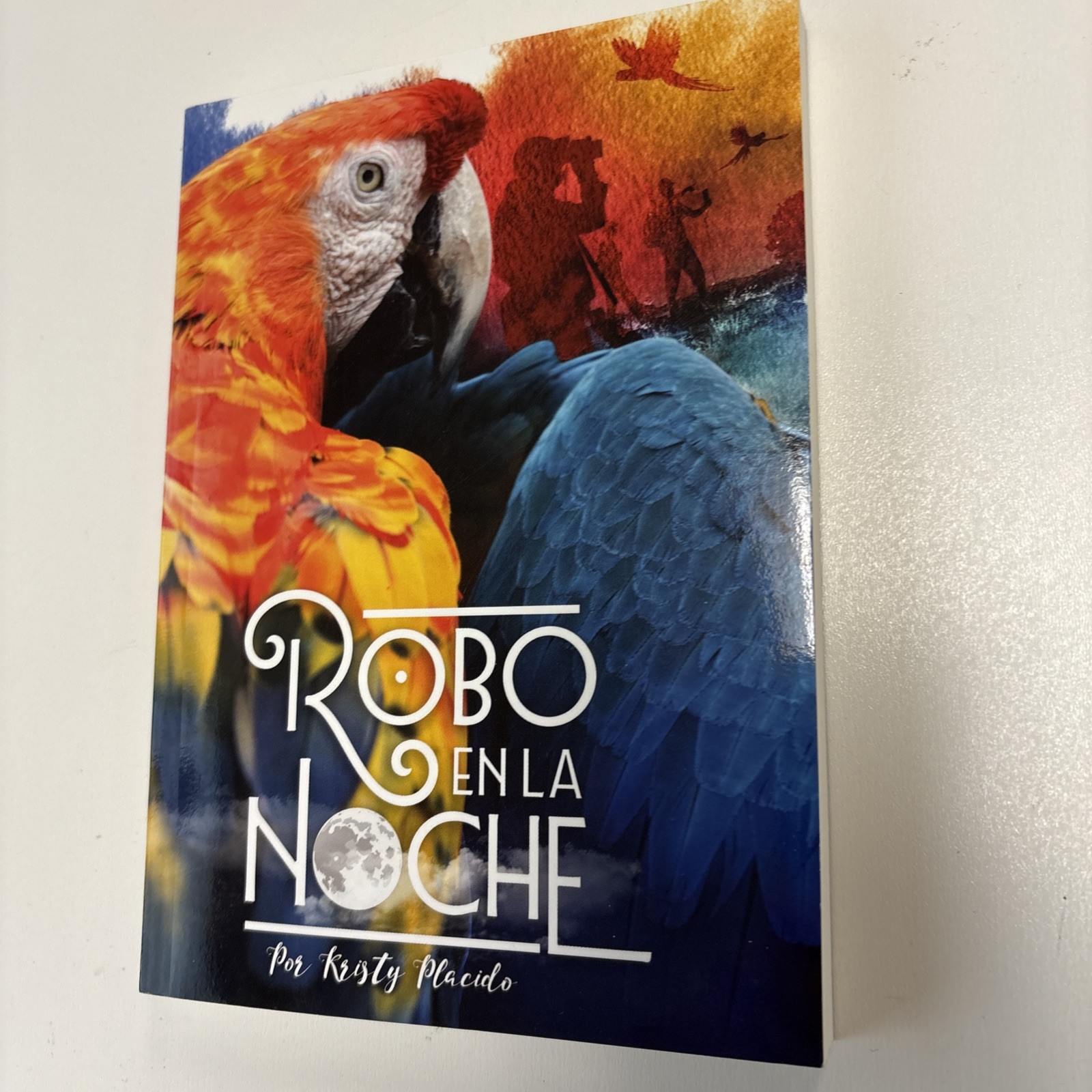 Robo en la Noche by Kristy Placido (2009, Trade Paperback) 5 New Available