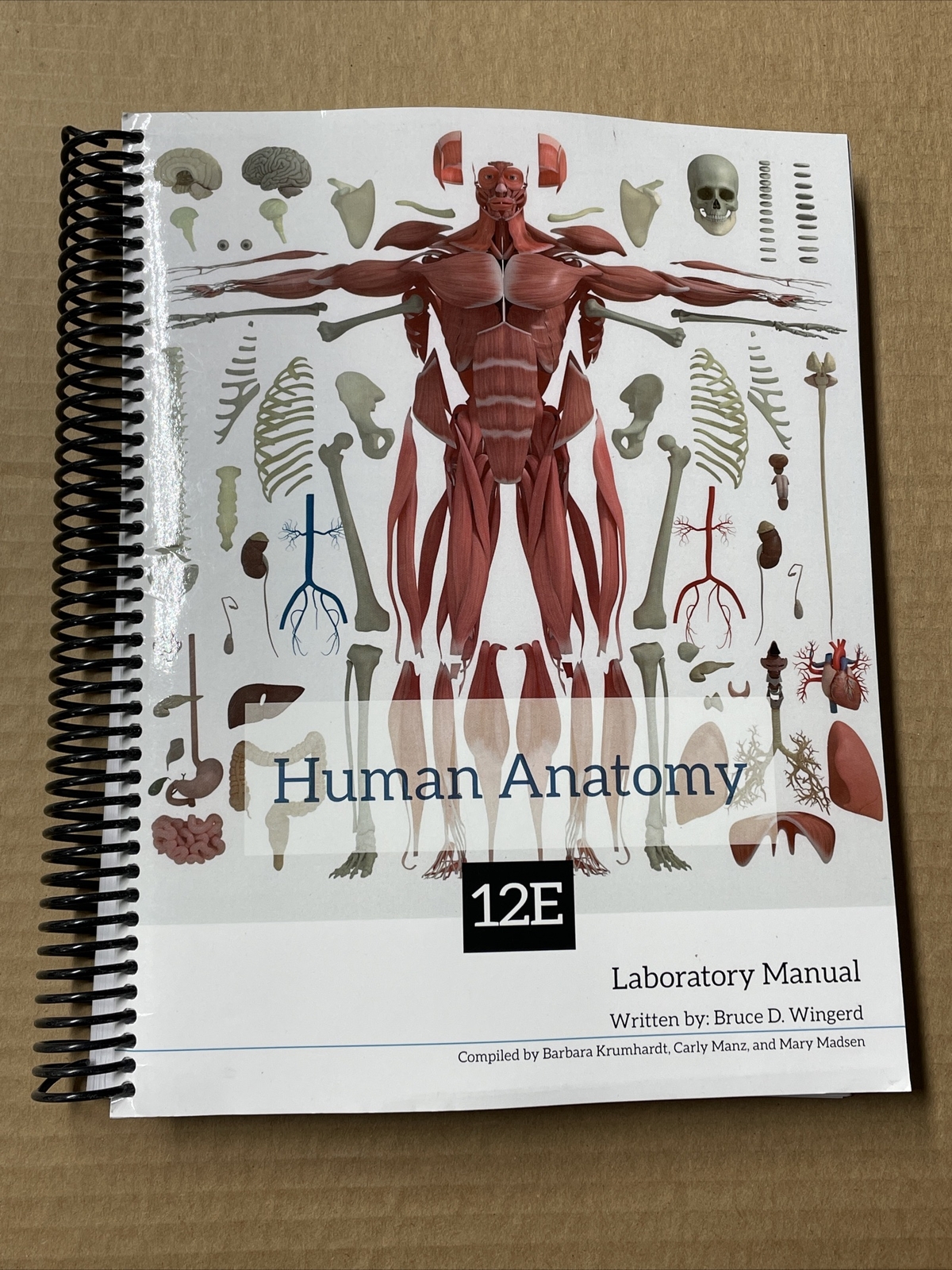 Human Anatomy Laboratory Manual 12e 2022 BlueDoor Lab Manual 12th Edition Book