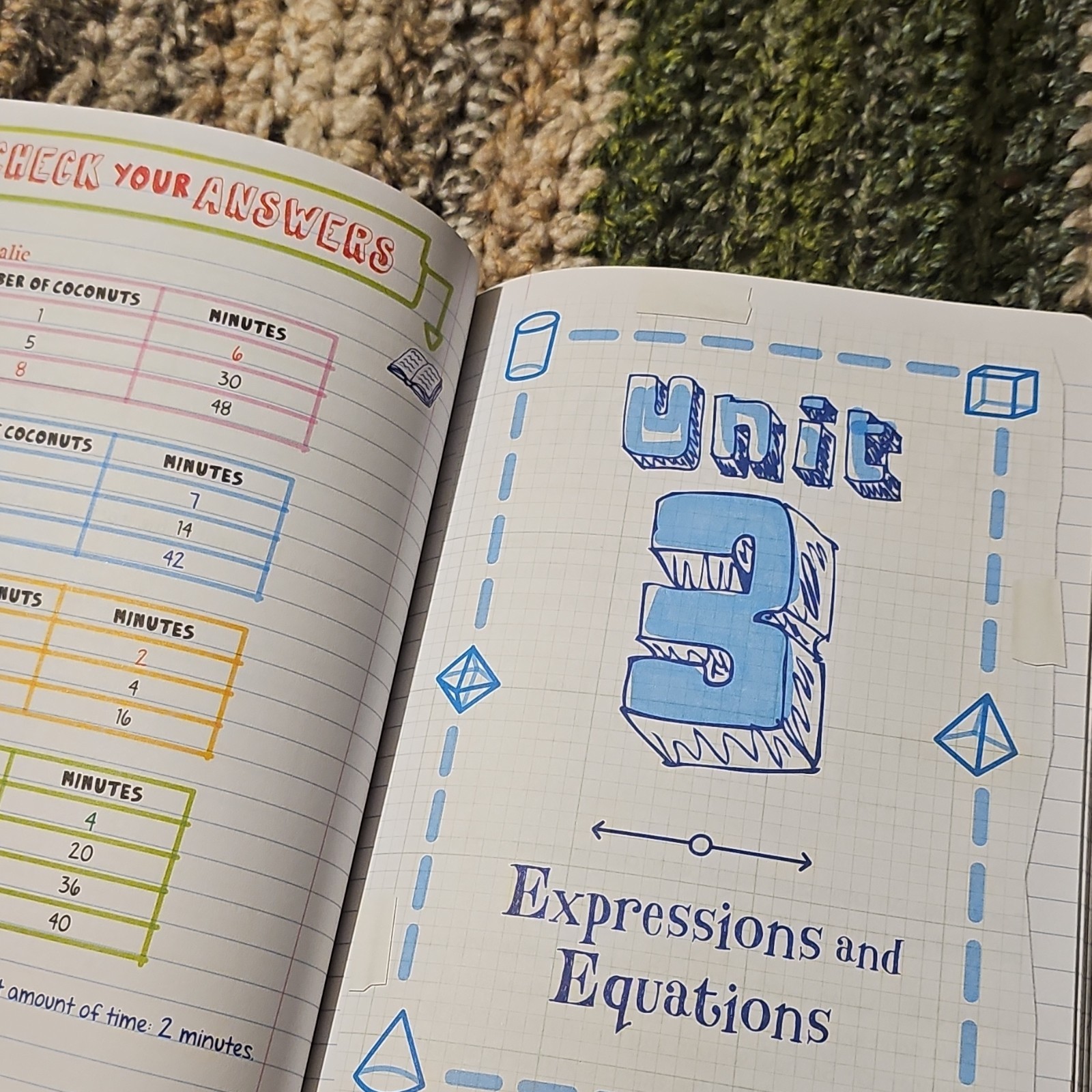 Workman Publishing Everything You Need to Ace Math Study Guide Middle School
